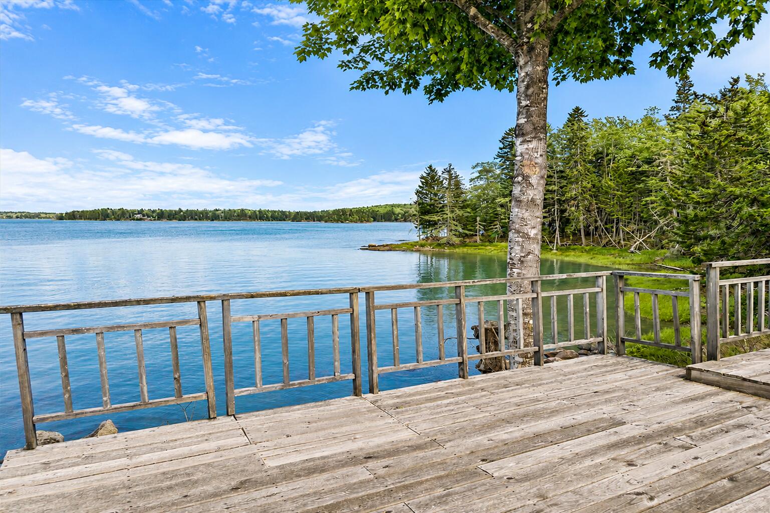 562 Rays Point Road Property Photo 22