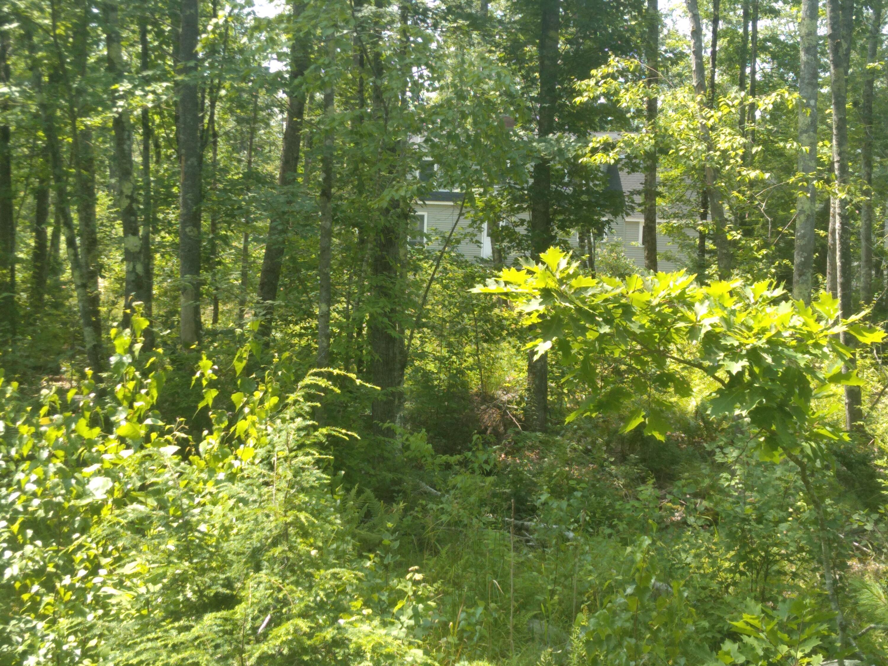 136 Lot 2 Harry Howes Road Property Photo 6