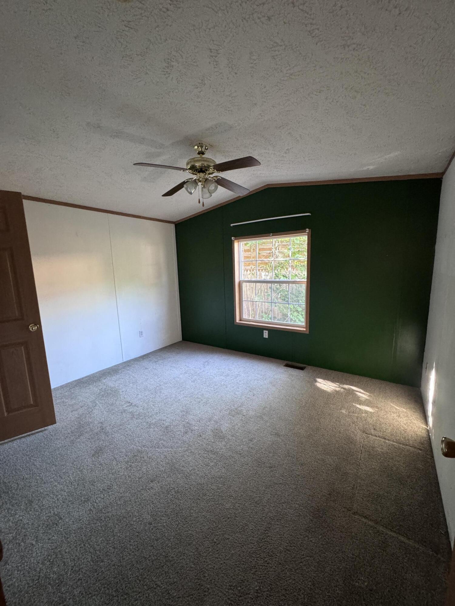 19 Masterman Avenue Property Photo 15