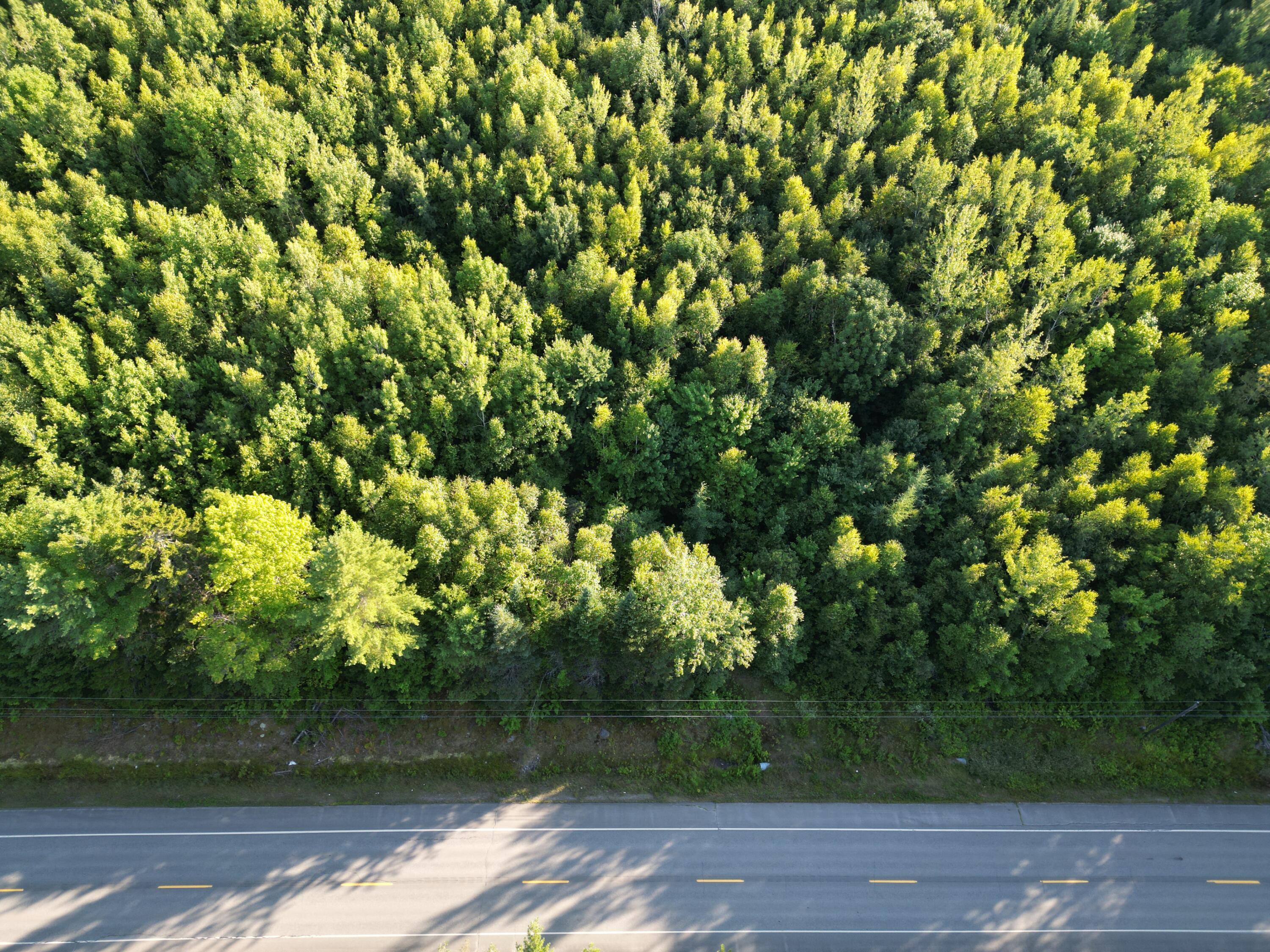 Lot 25 Lee Road Property Photo 1