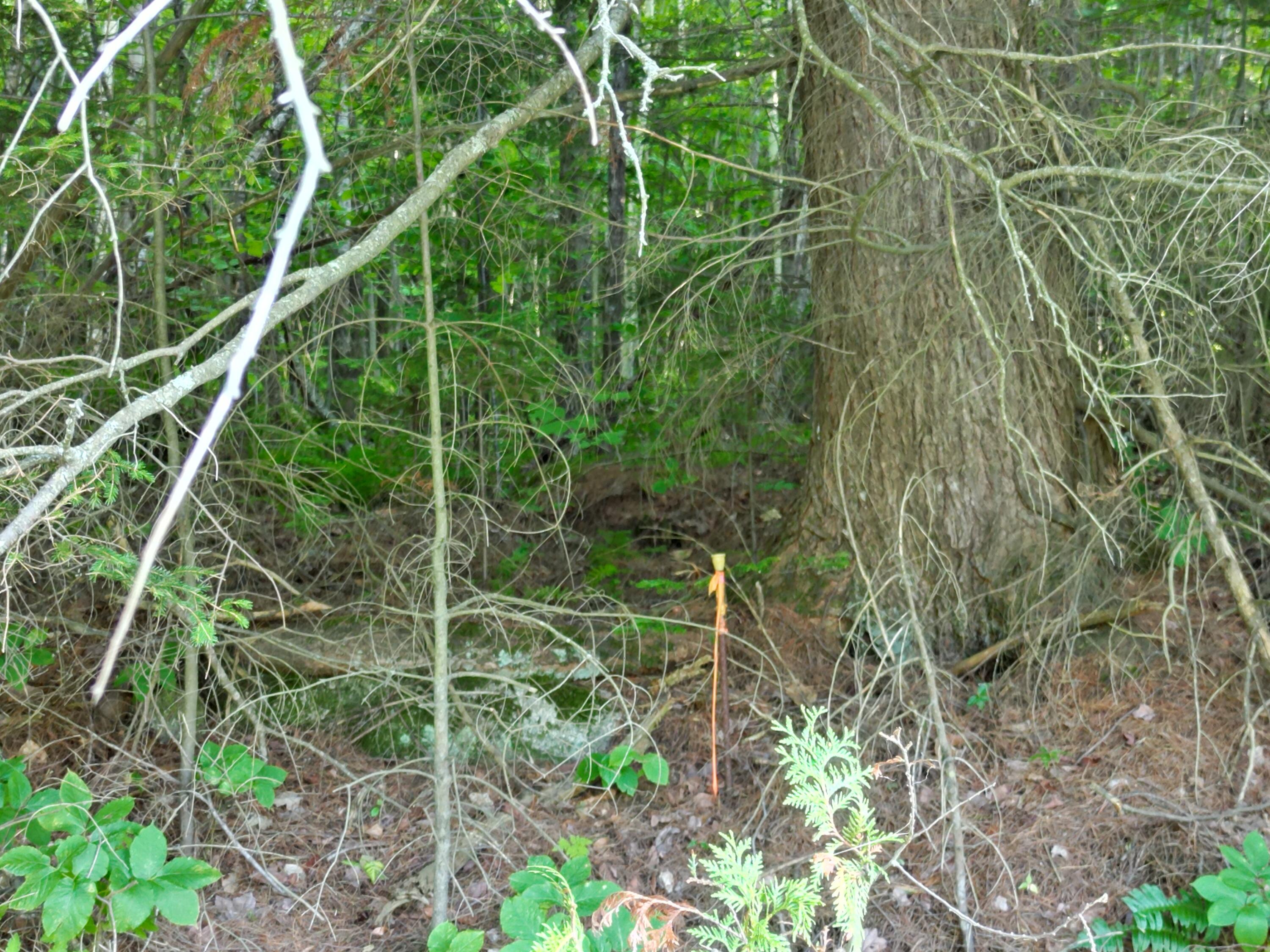 Lot 25 Lee Road Property Photo 4