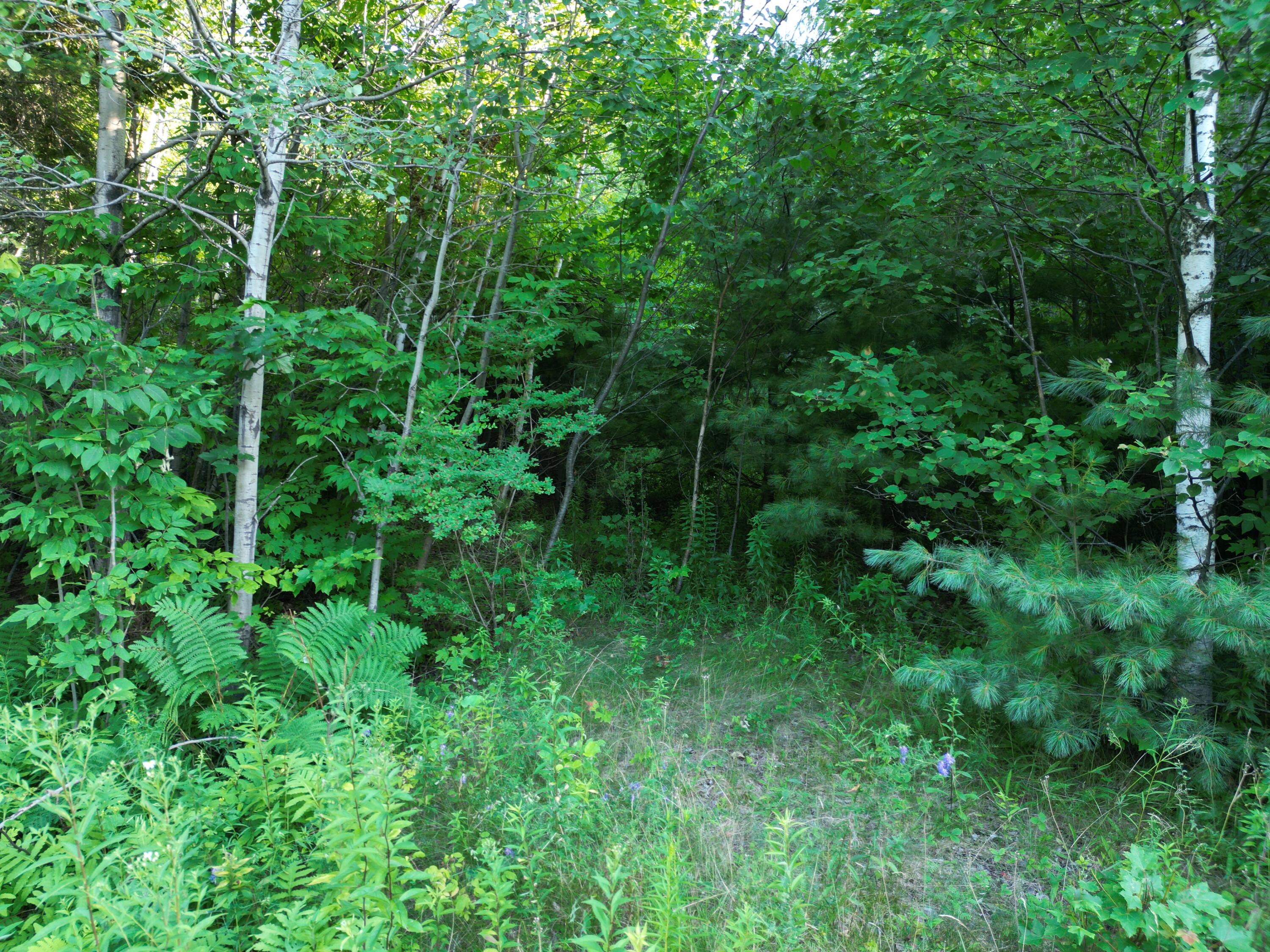 Lot 25 Lee Road Property Photo 6