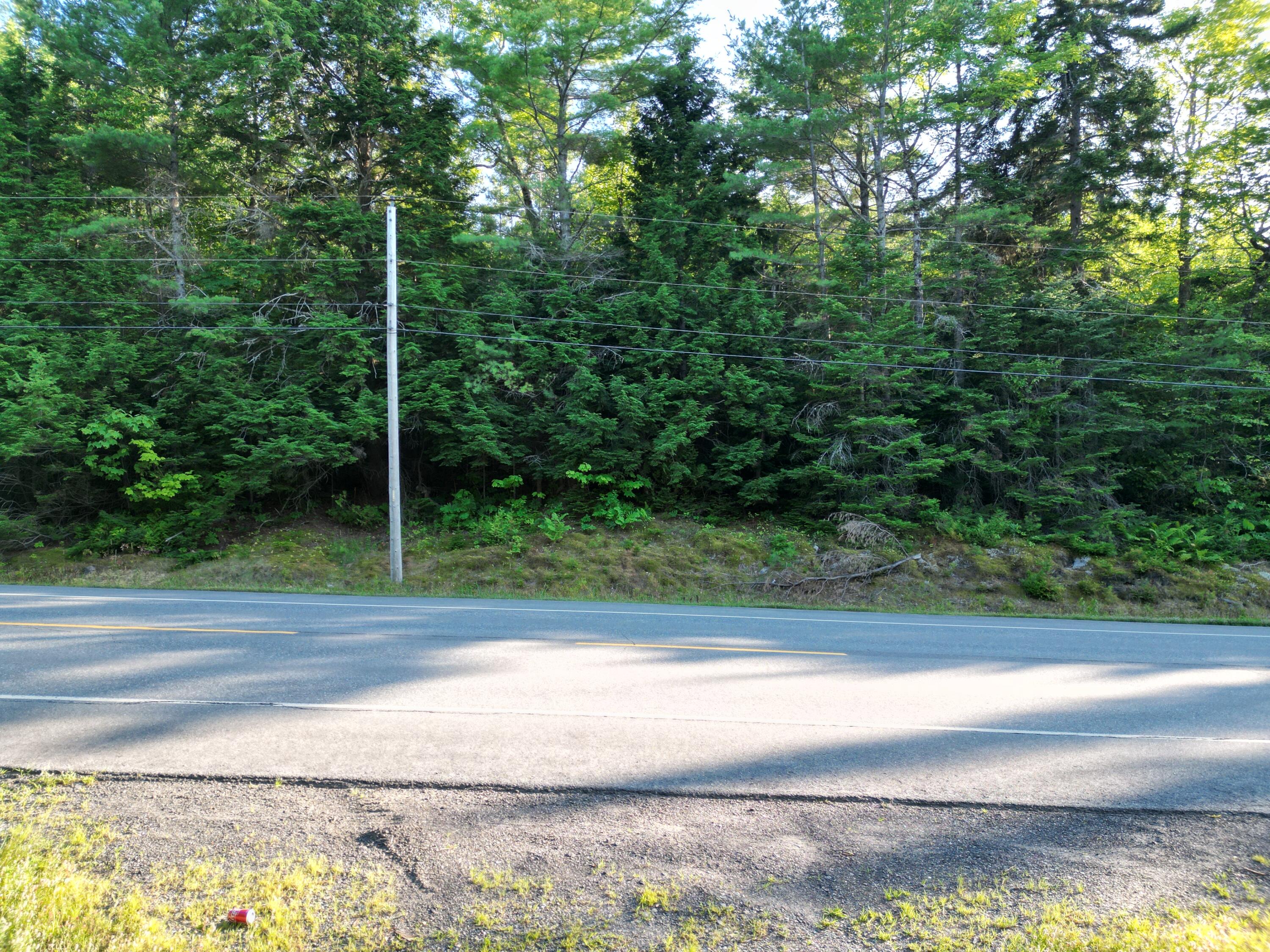 Lot 25 Lee Road Property Photo 11