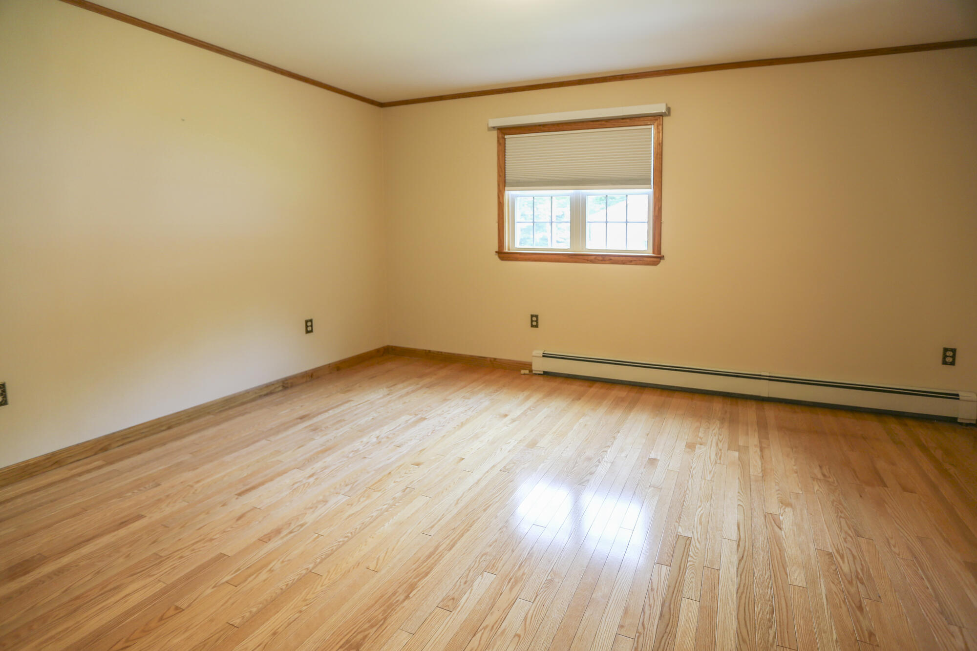 86 Prentiss Street Property Photo 16