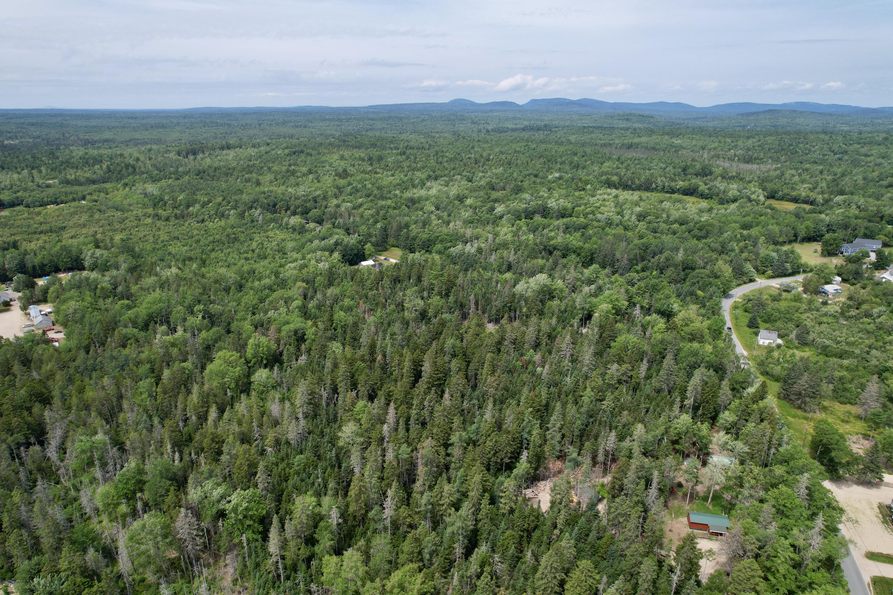72 Smithville Road Property Photo 33
