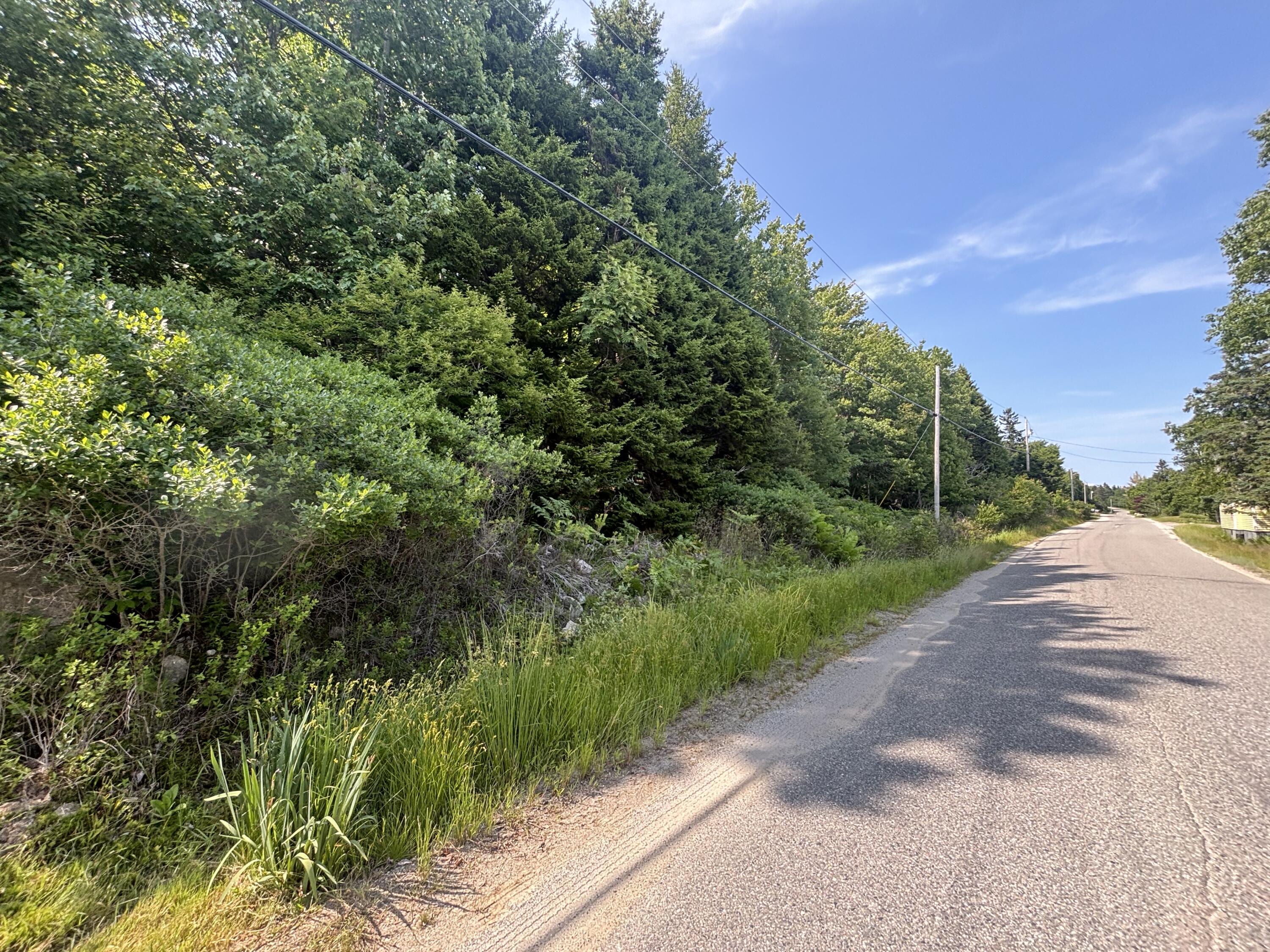 Lot 43 Pigeon Hill Road Property Photo 3