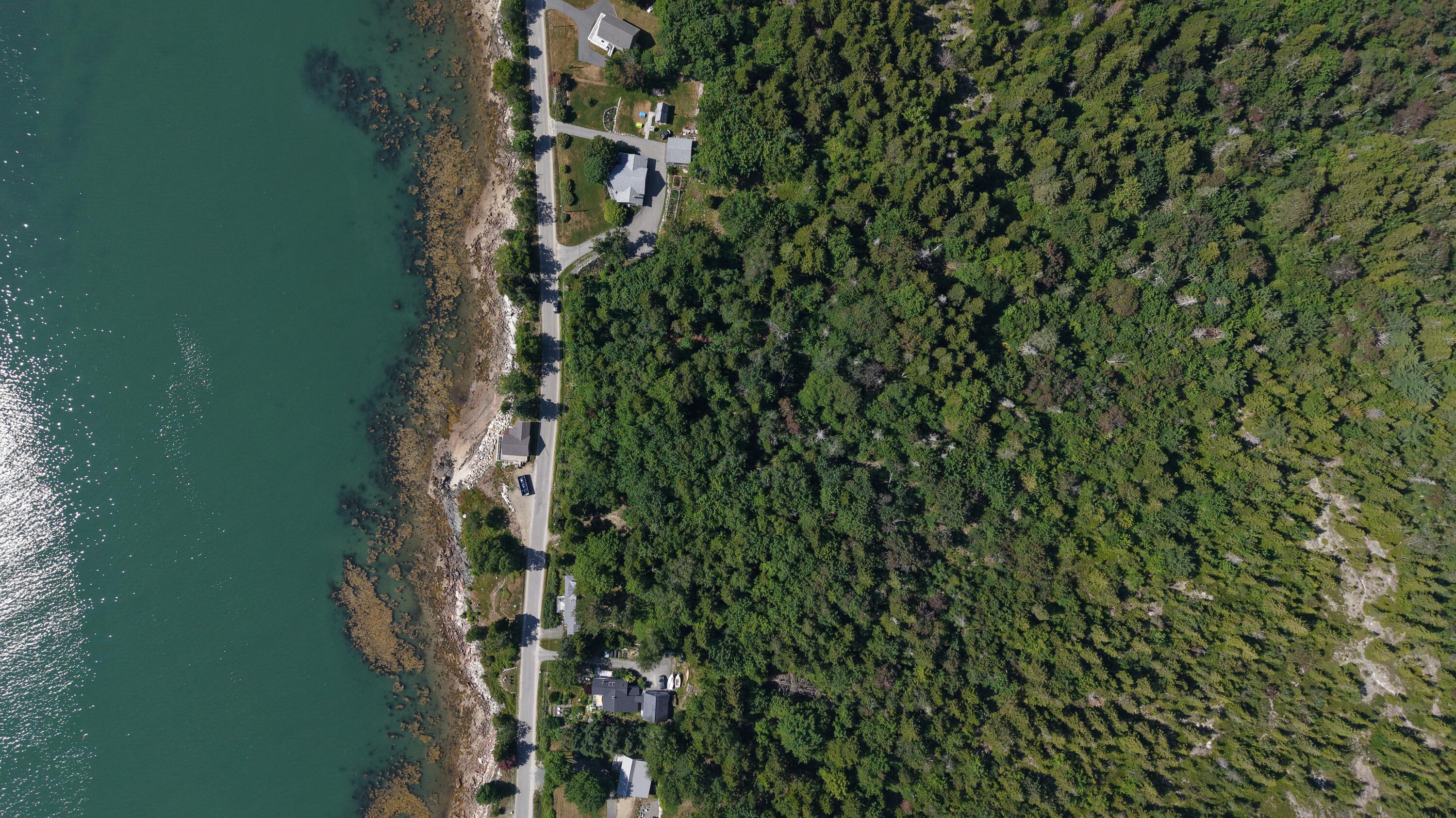 Lot 43 Pigeon Hill Road Property Photo 6