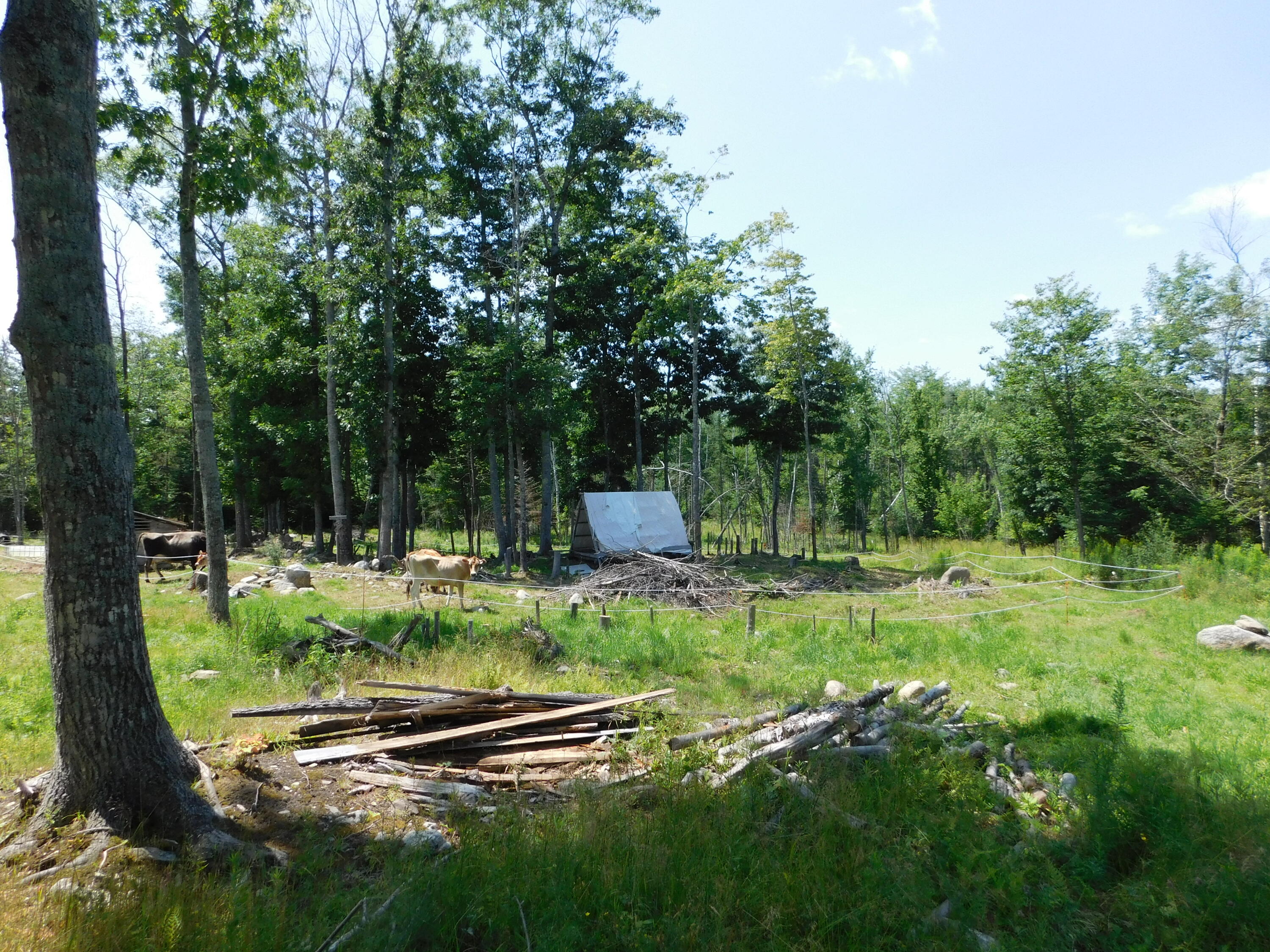 535 Betts Road Property Photo 66