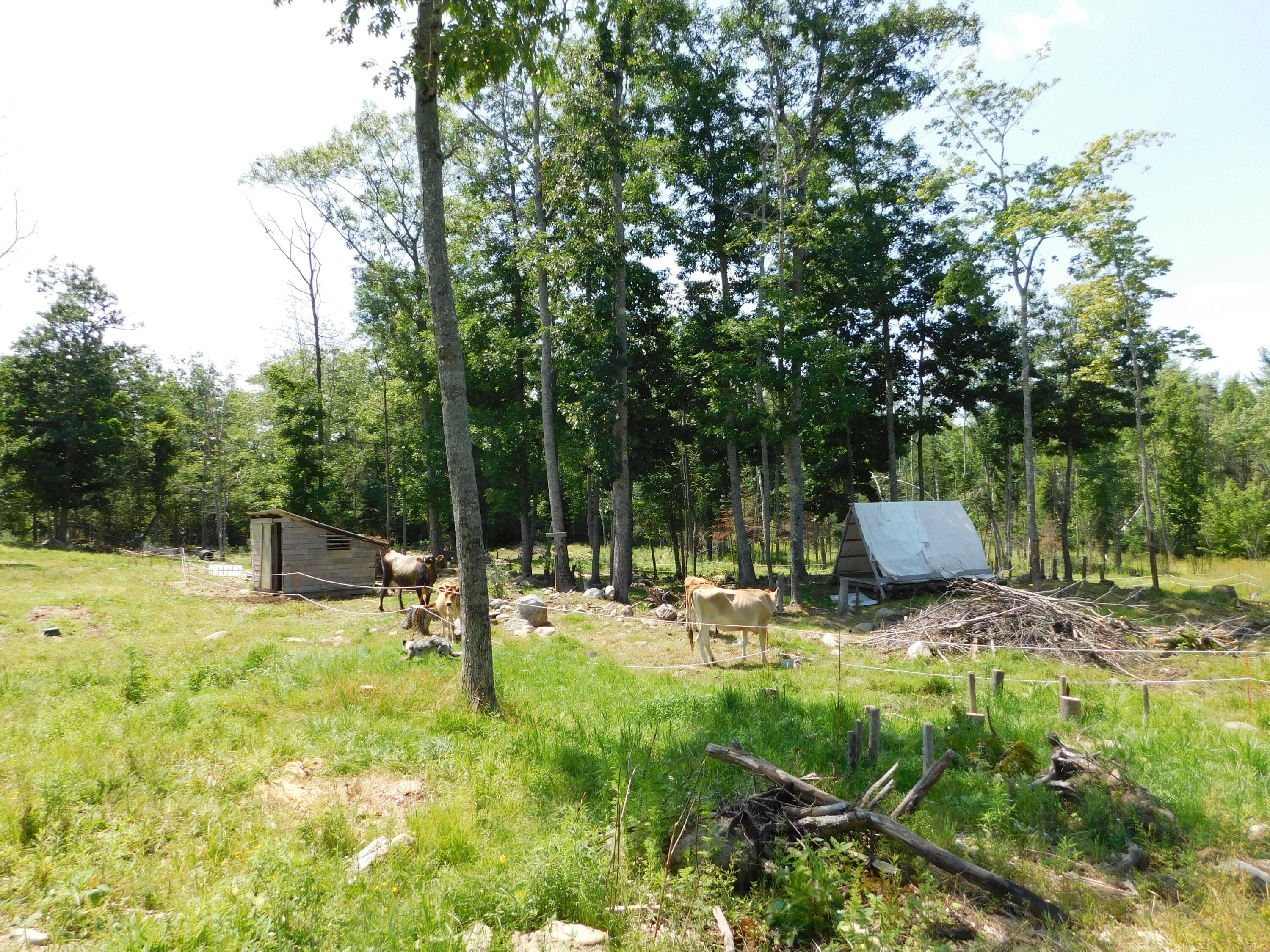 535 Betts Road Property Photo 67