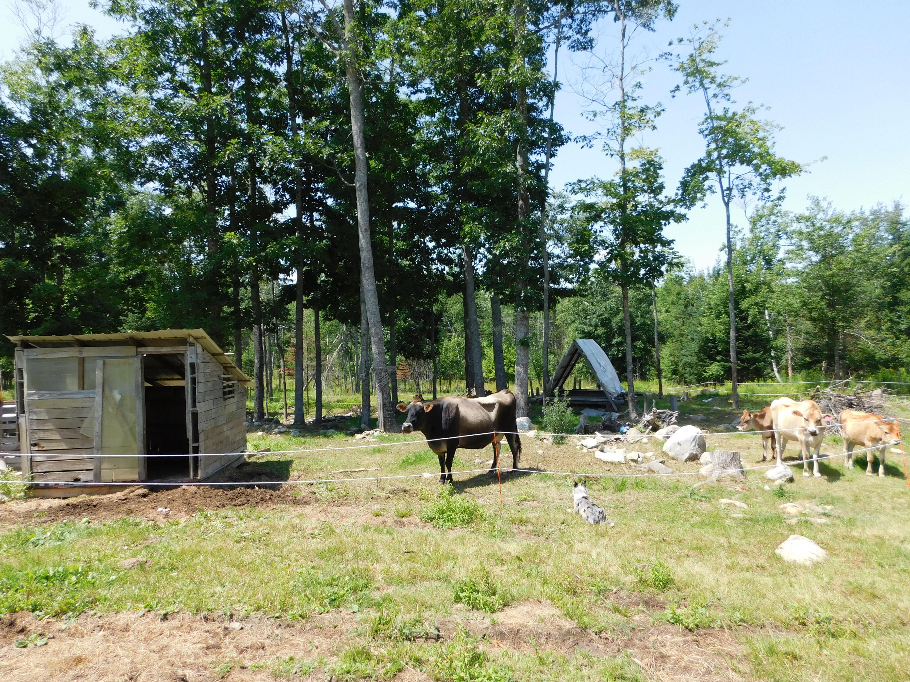 535 Betts Road Property Photo 79