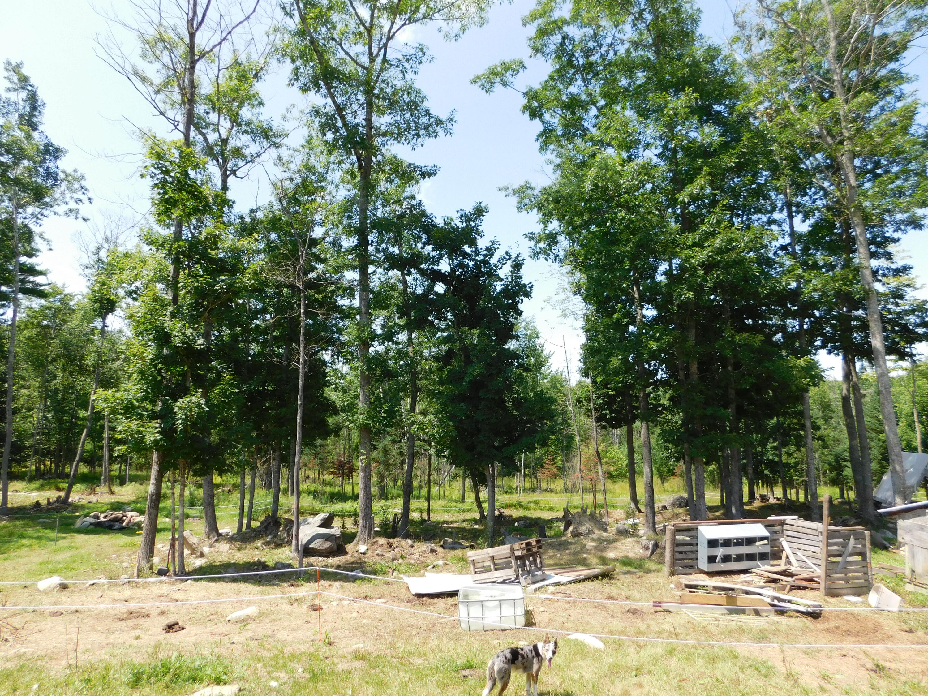 535 Betts Road Property Photo 82