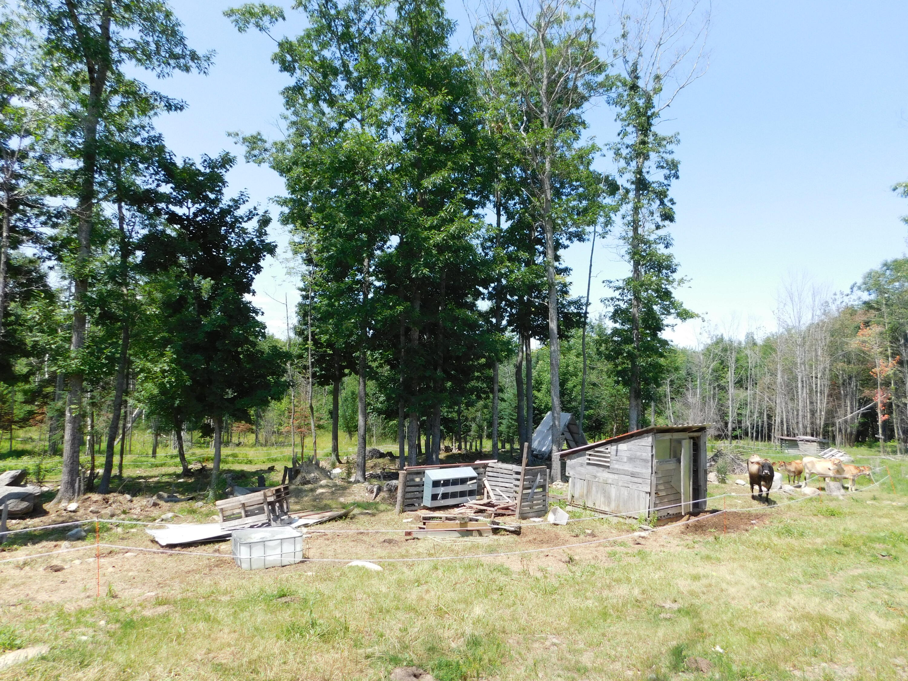 535 Betts Road Property Photo 84