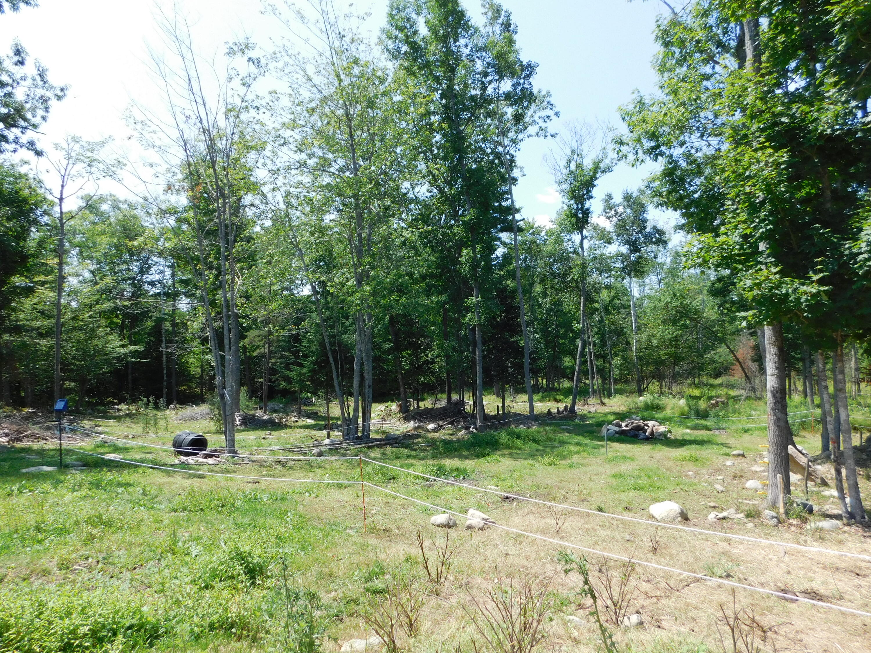 535 Betts Road Property Photo 85