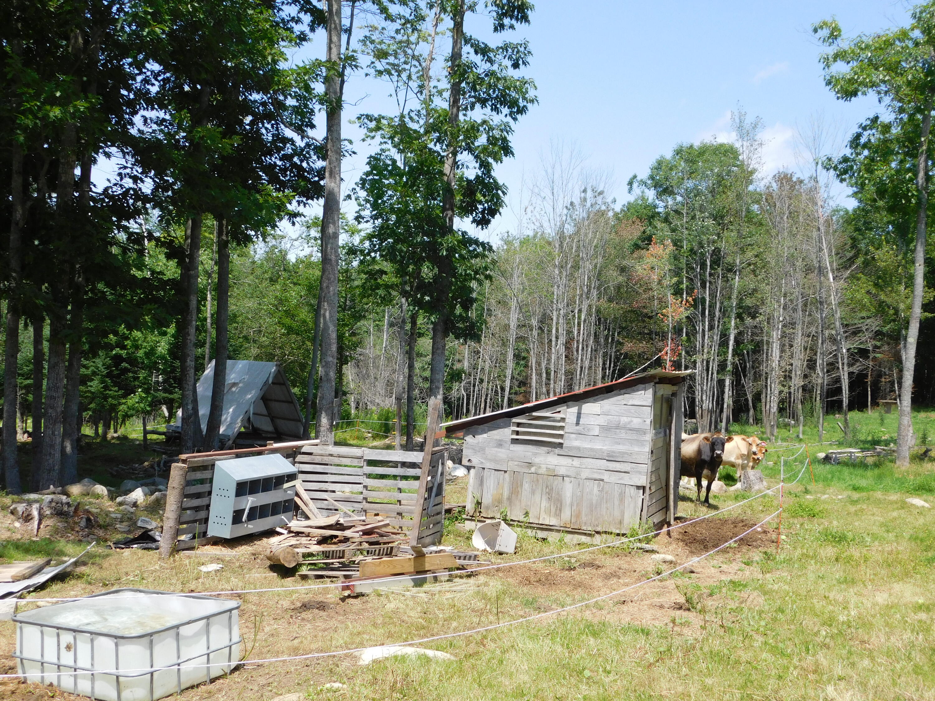 535 Betts Road Property Photo 87