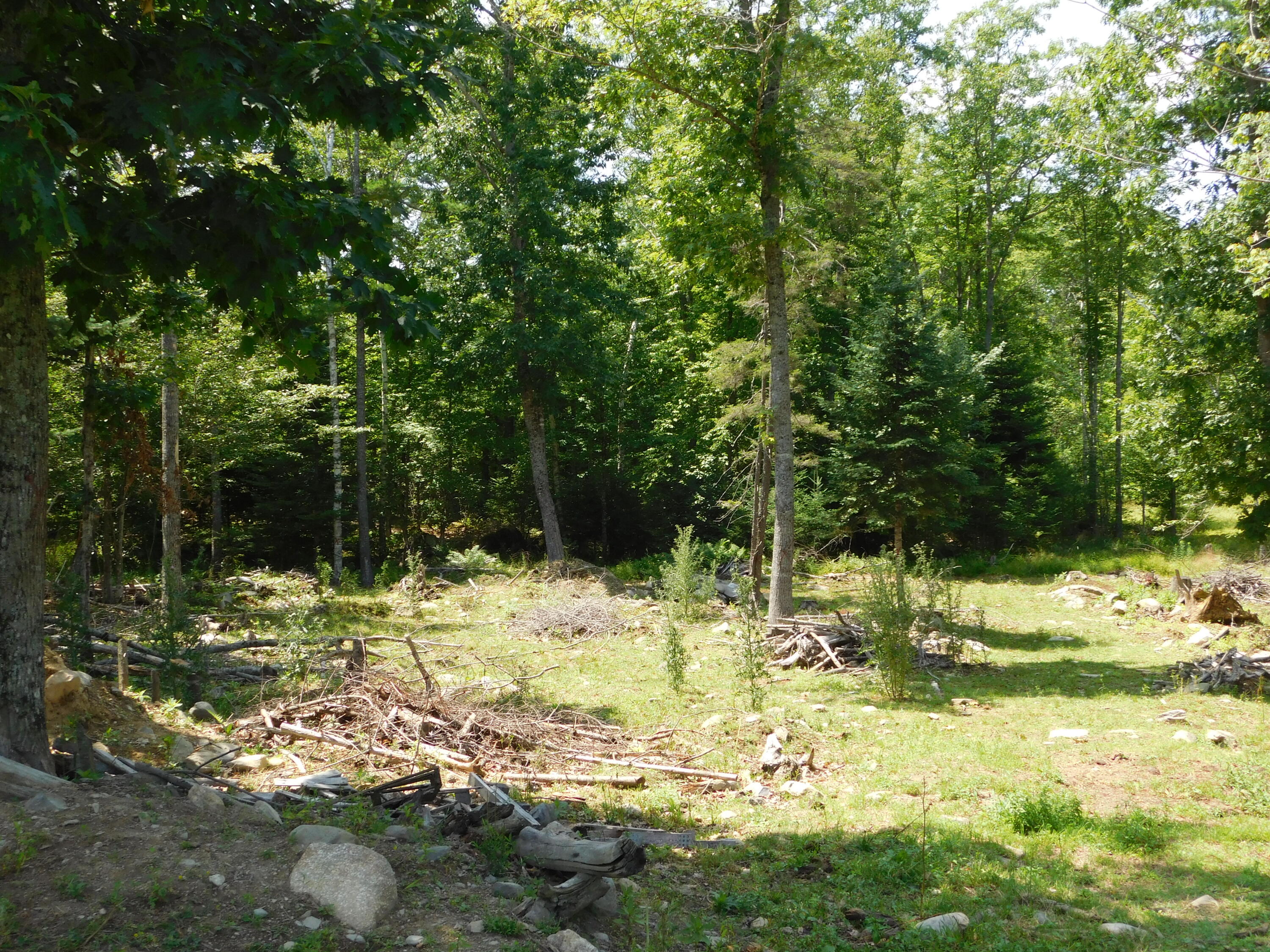 535 Betts Road Property Photo 89
