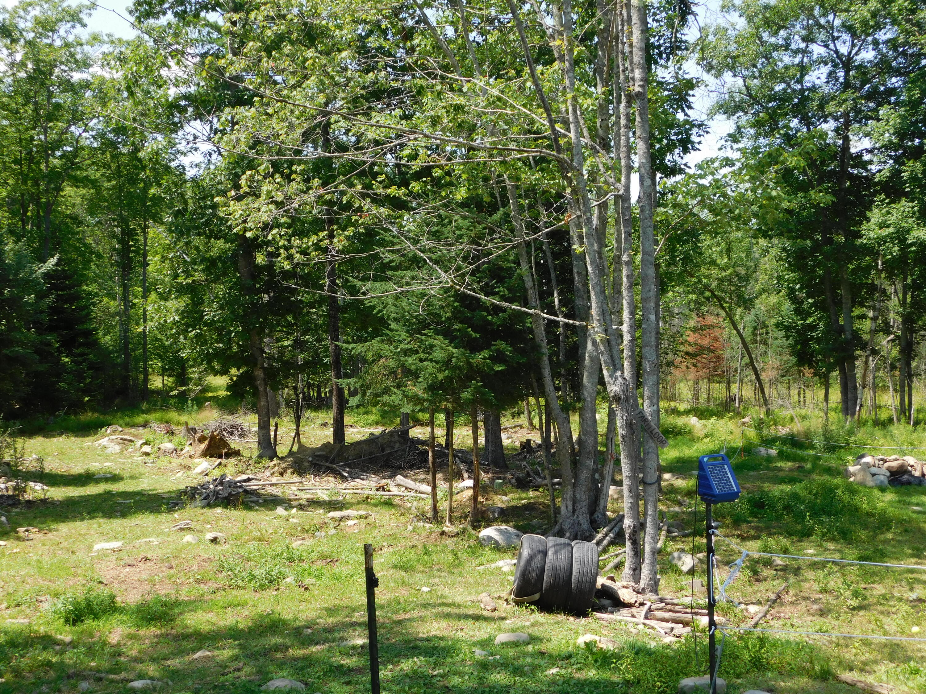 535 Betts Road Property Photo 90