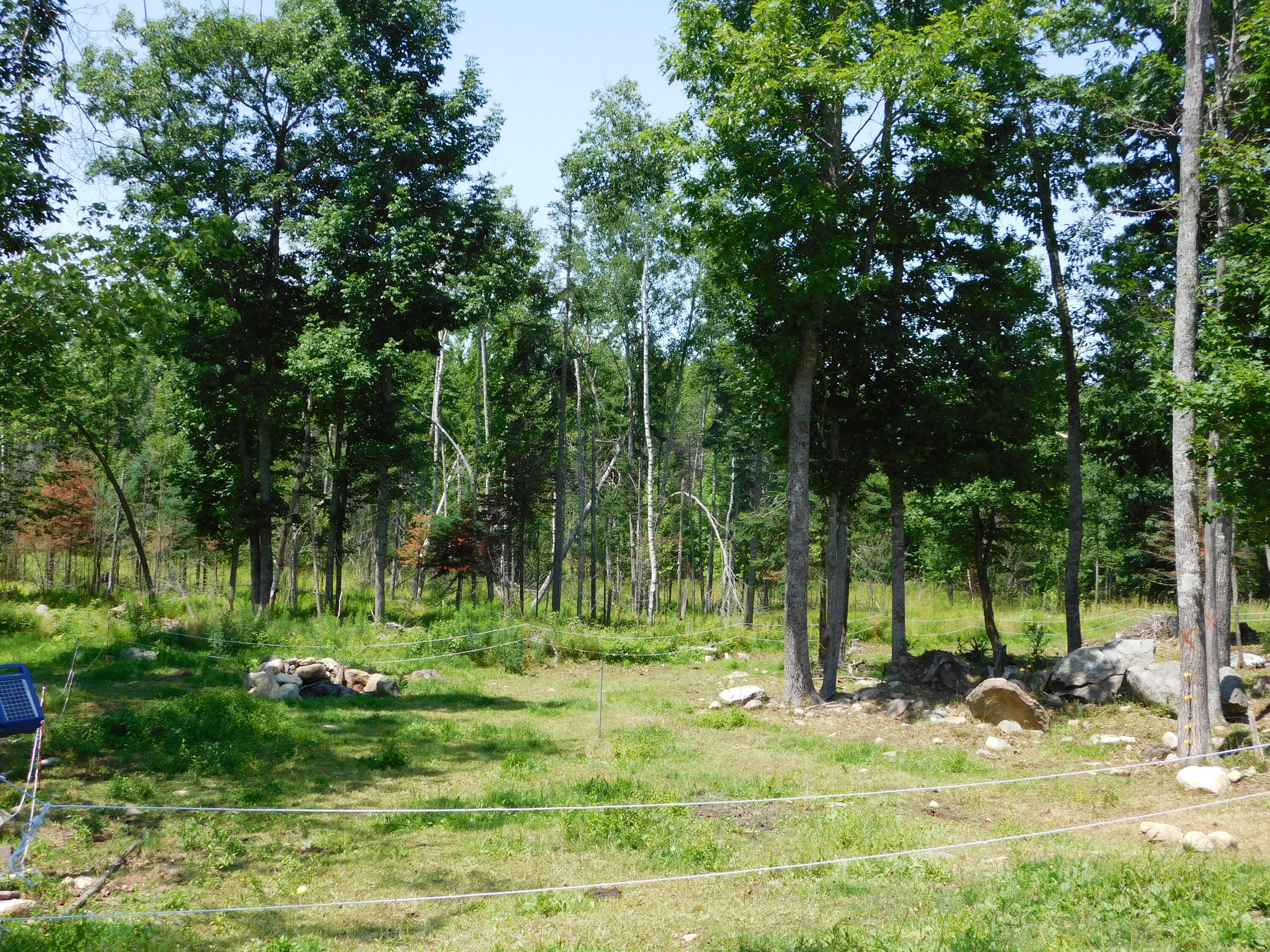 535 Betts Road Property Photo 91