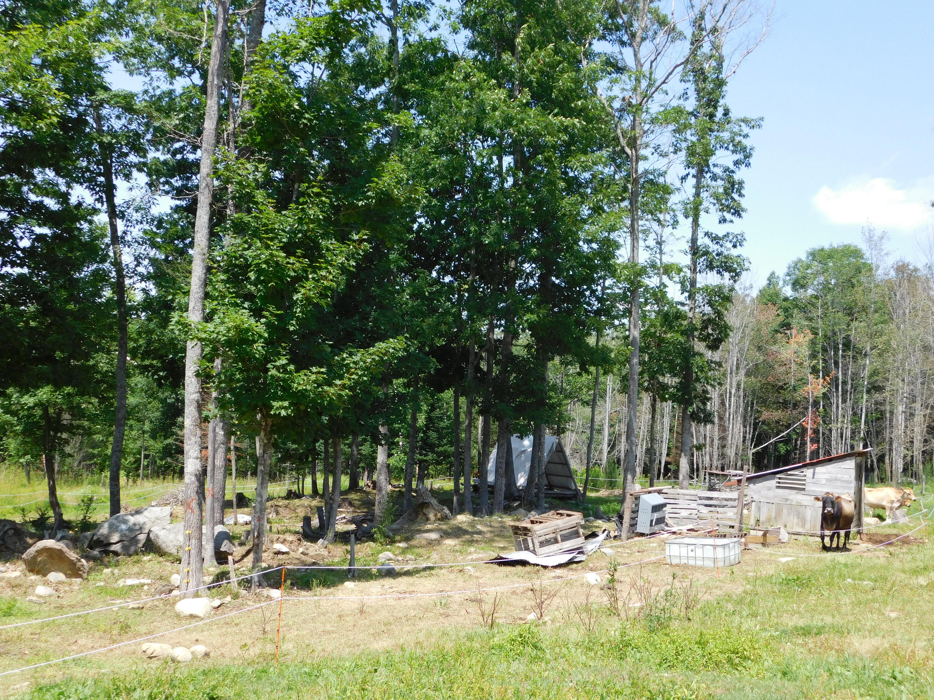 535 Betts Road Property Photo 92
