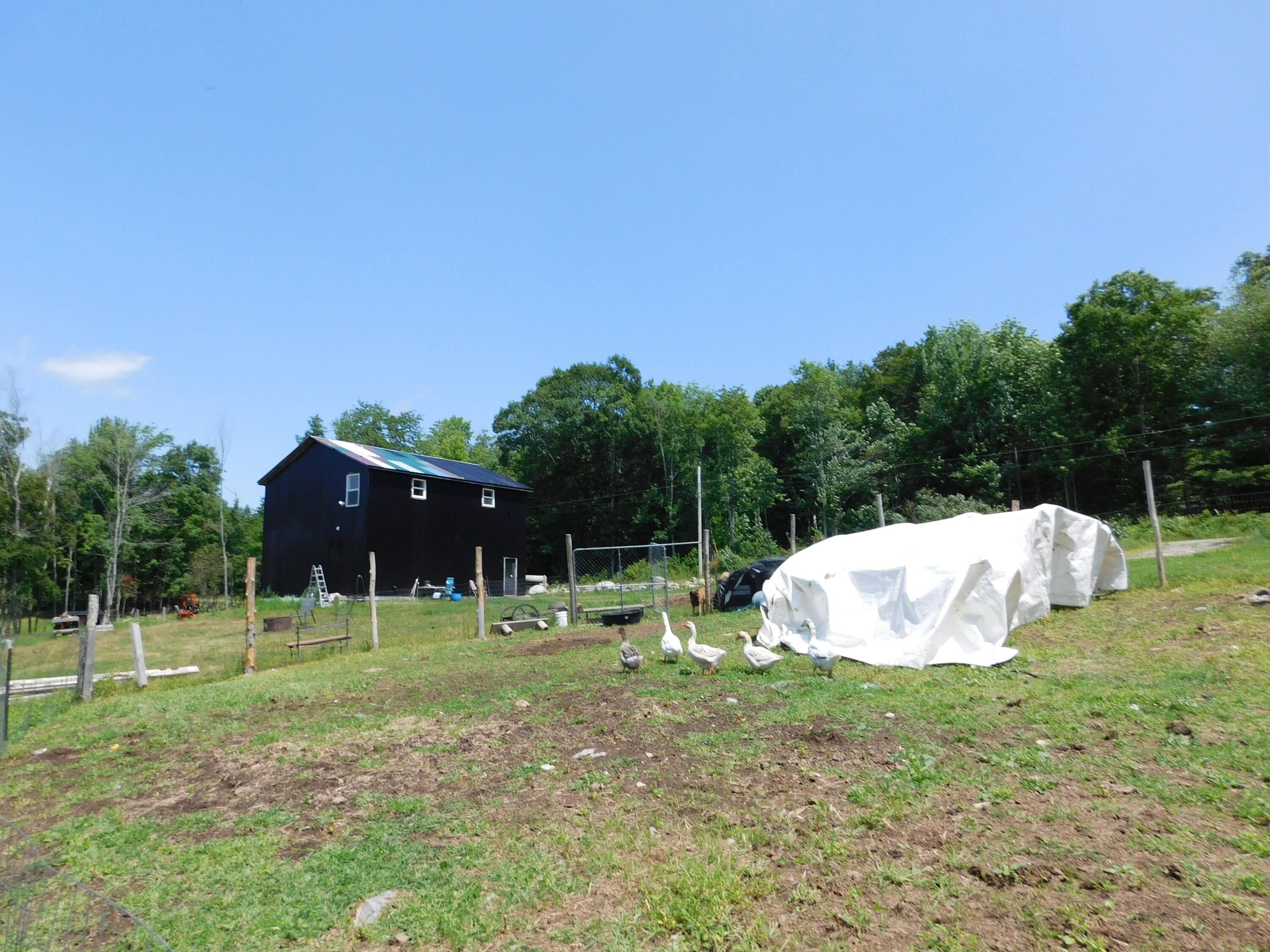 535 Betts Road Property Photo 97