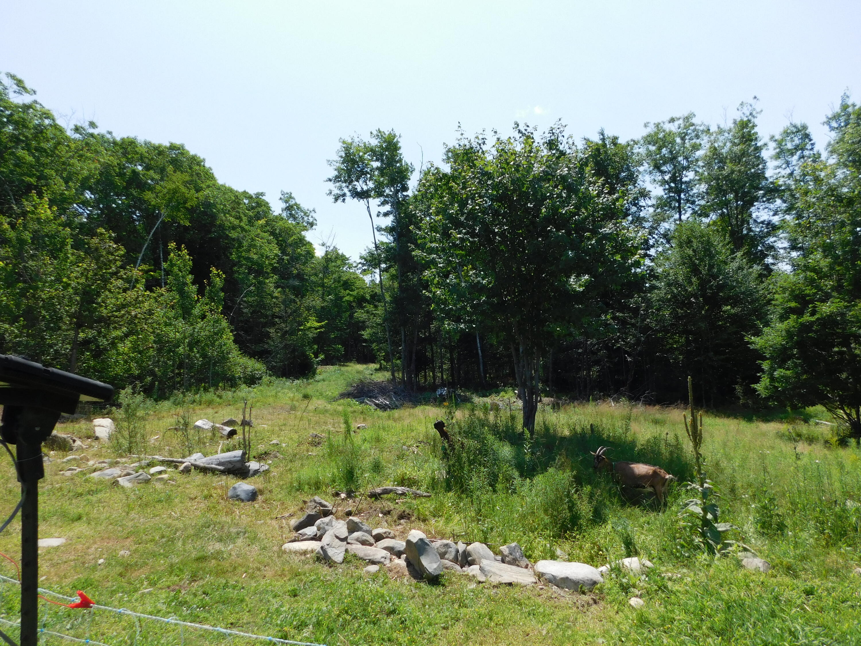 535 Betts Road Property Photo 101