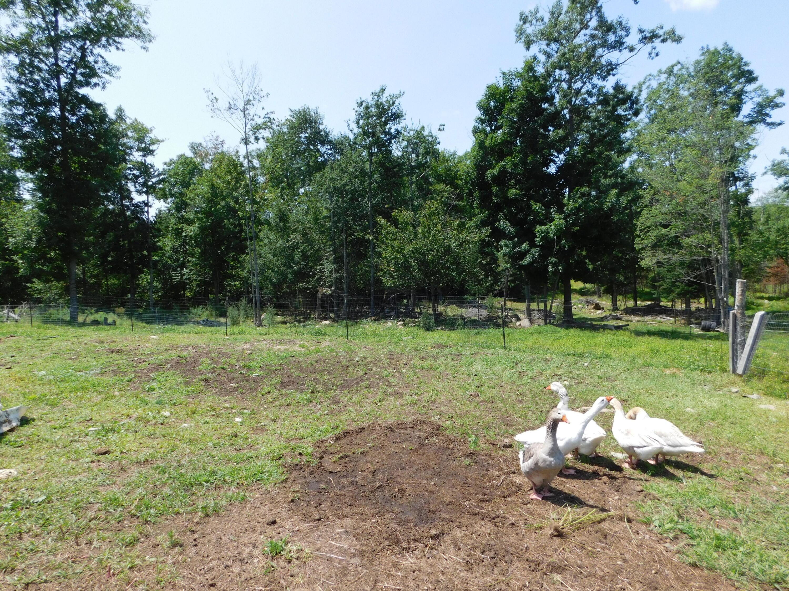 535 Betts Road Property Photo 103
