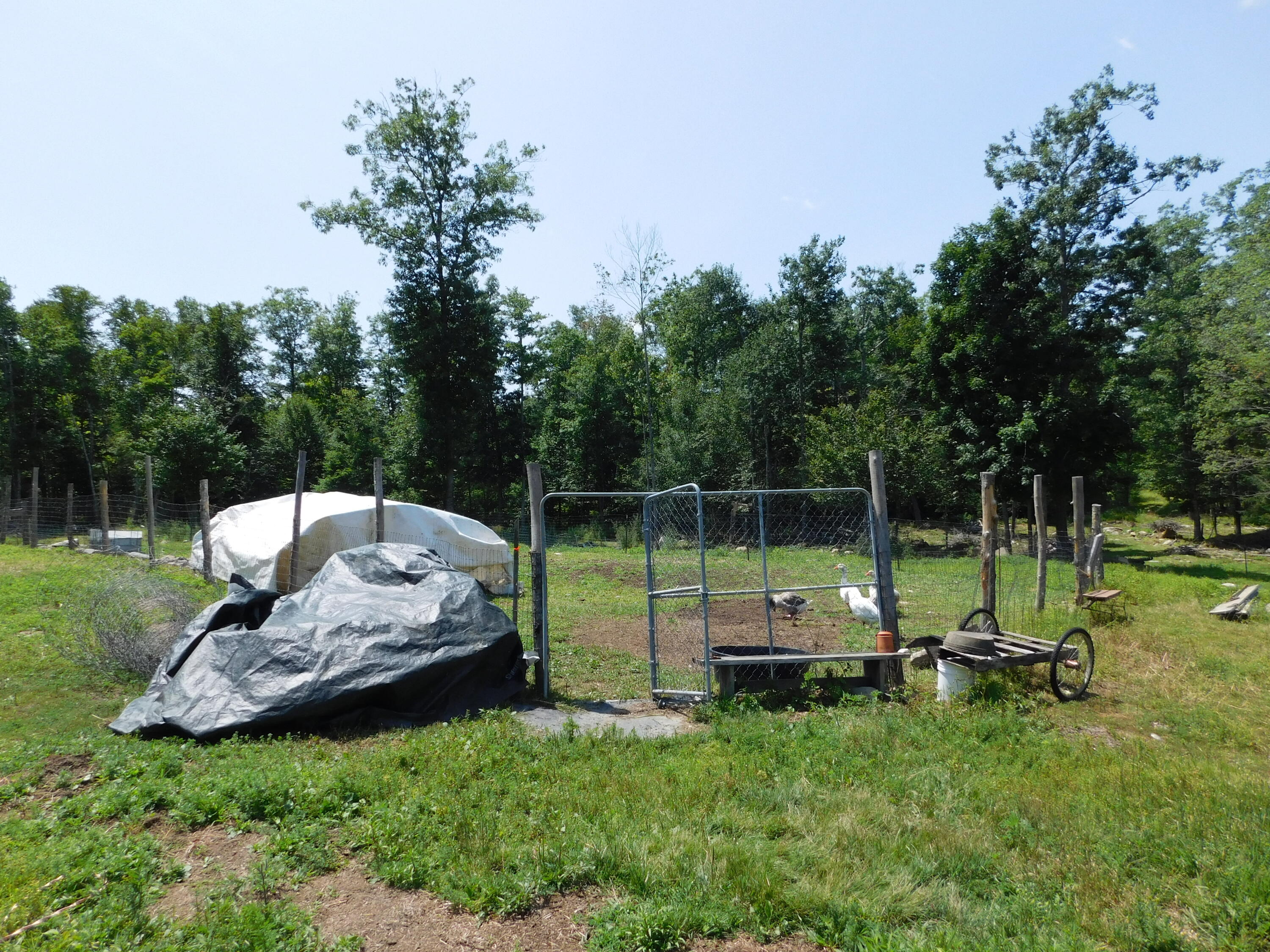 535 Betts Road Property Photo 106