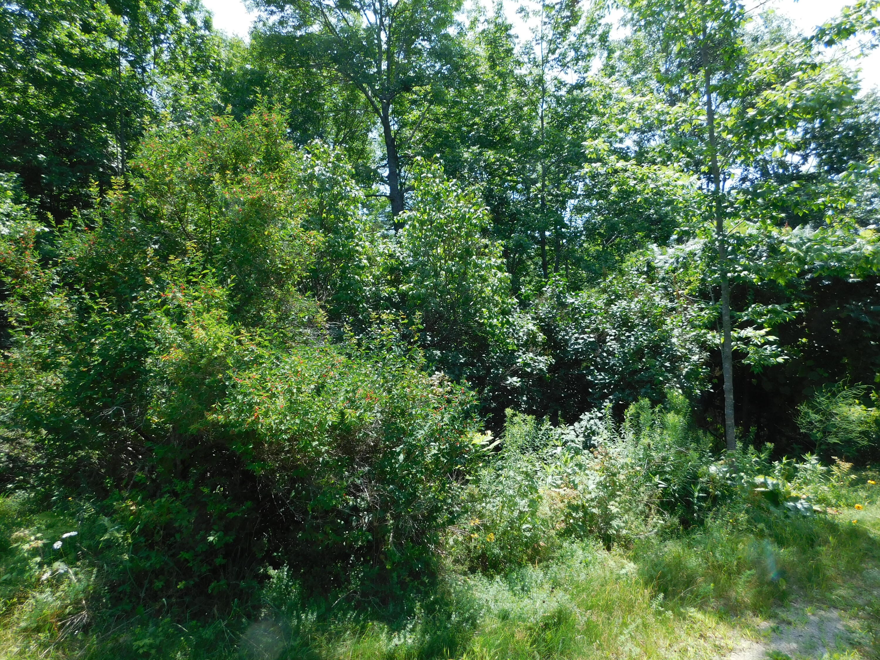 535 Betts Road Property Photo 114