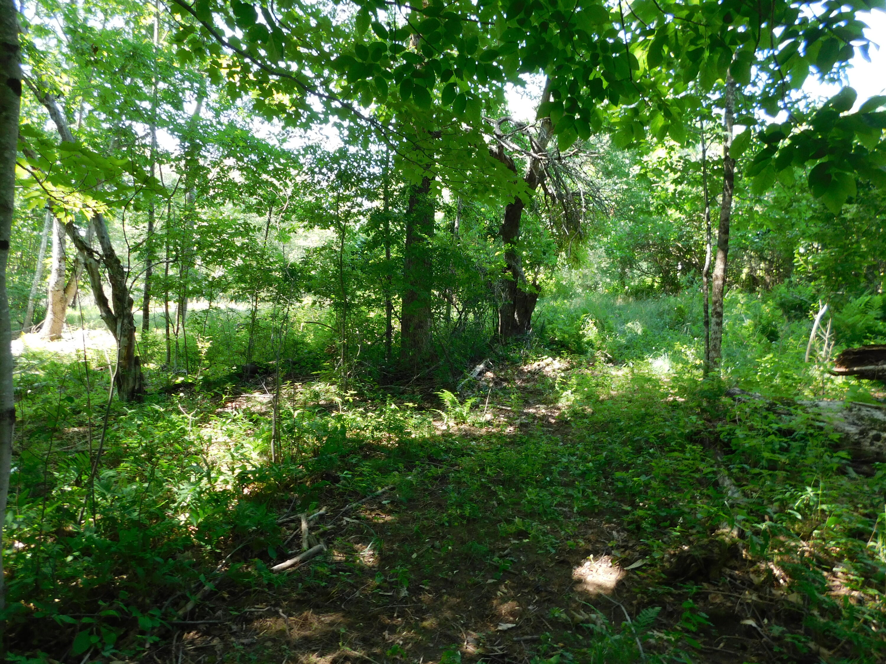 535 Betts Road Property Photo 115