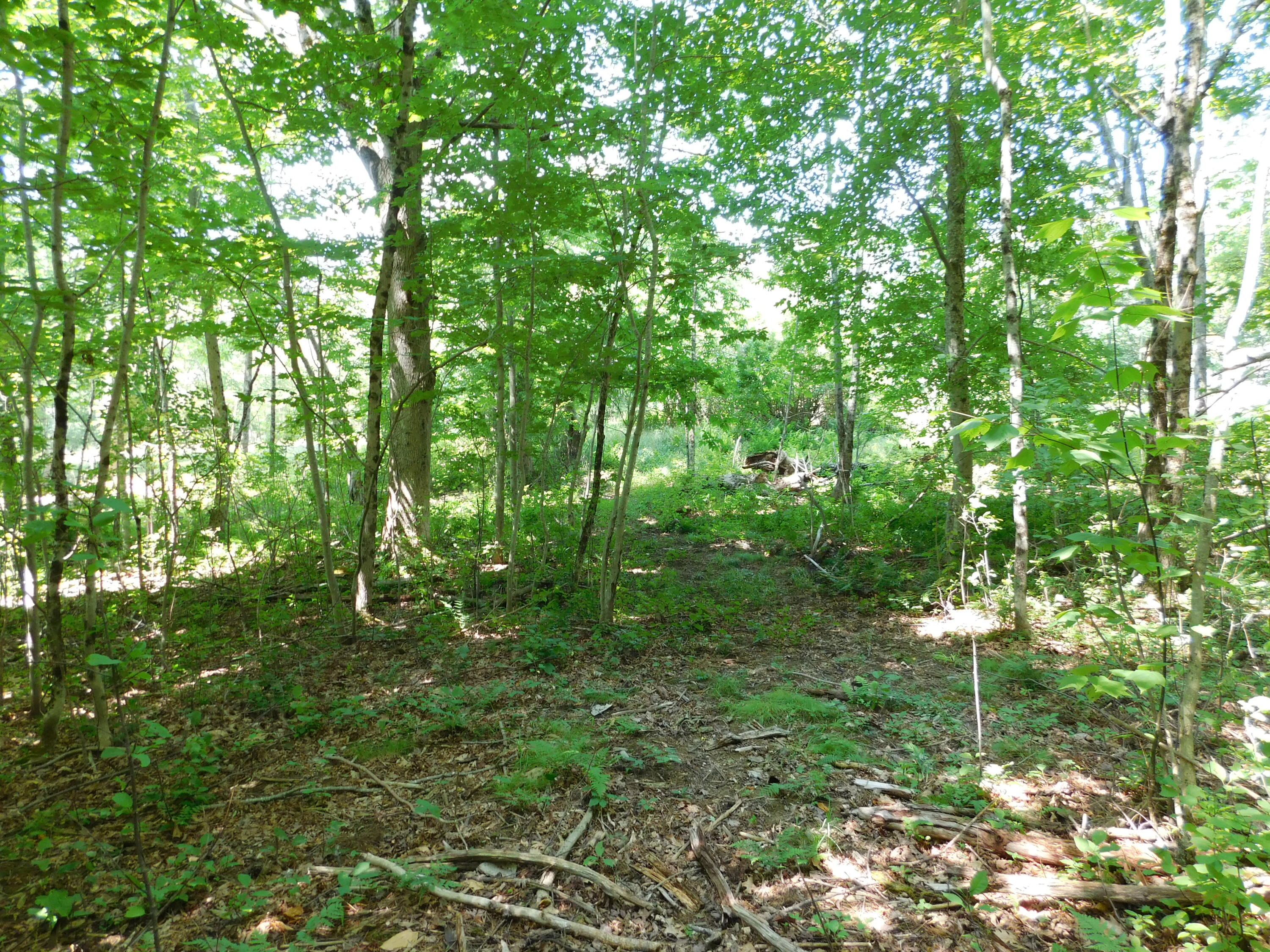 535 Betts Road Property Photo 116