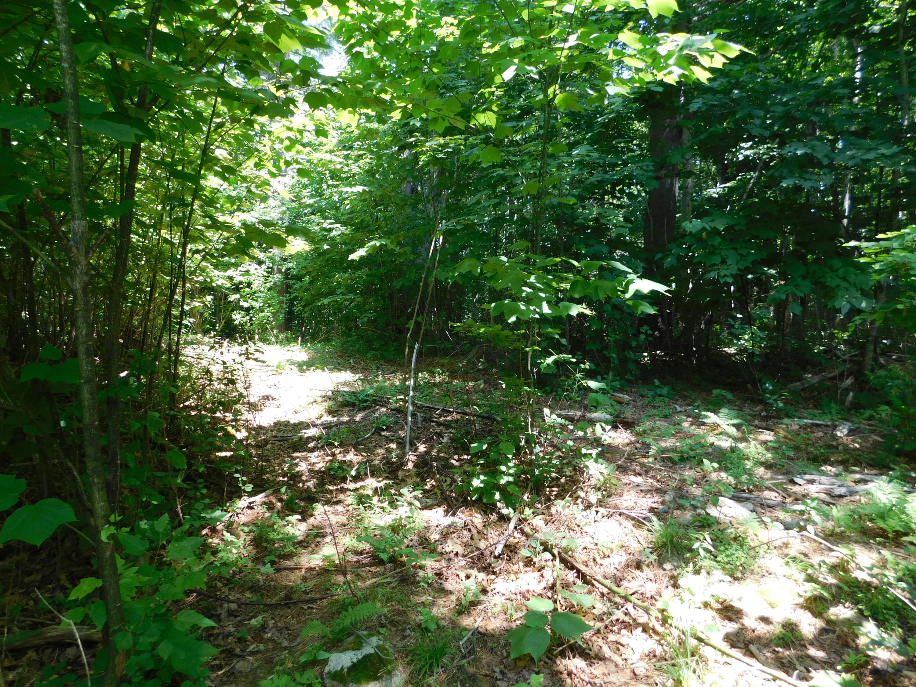 535 Betts Road Property Photo 118