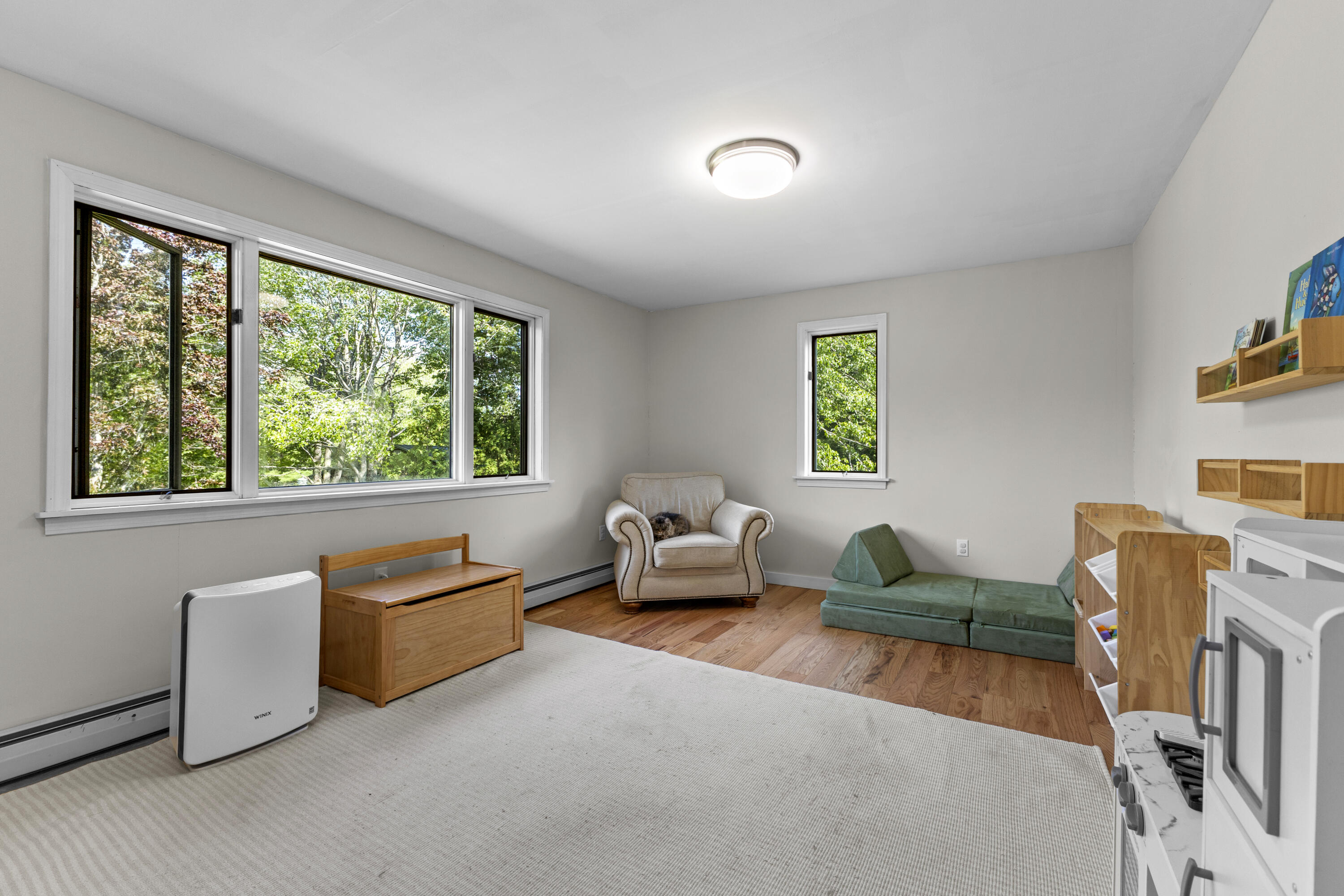 10 Lupine Lane Property Photo 29