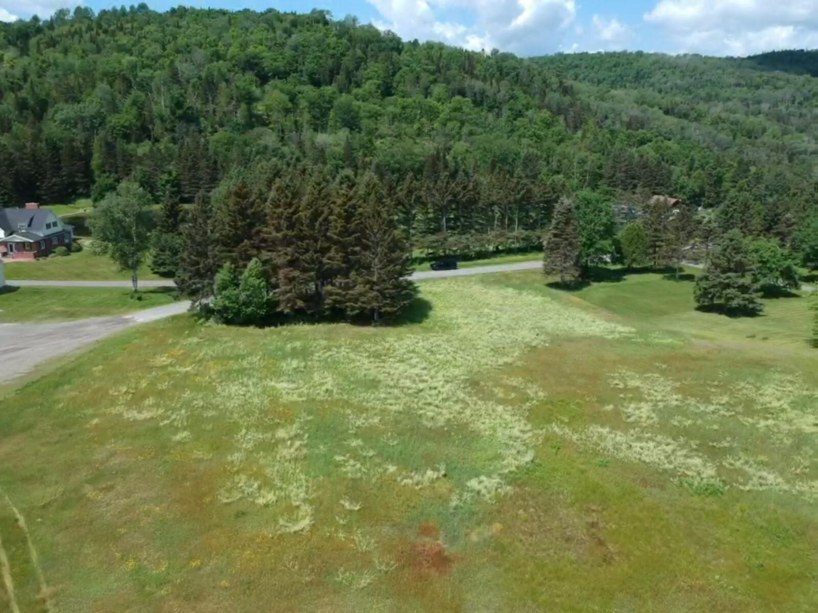 175 Bradbury Road Property Photo 27