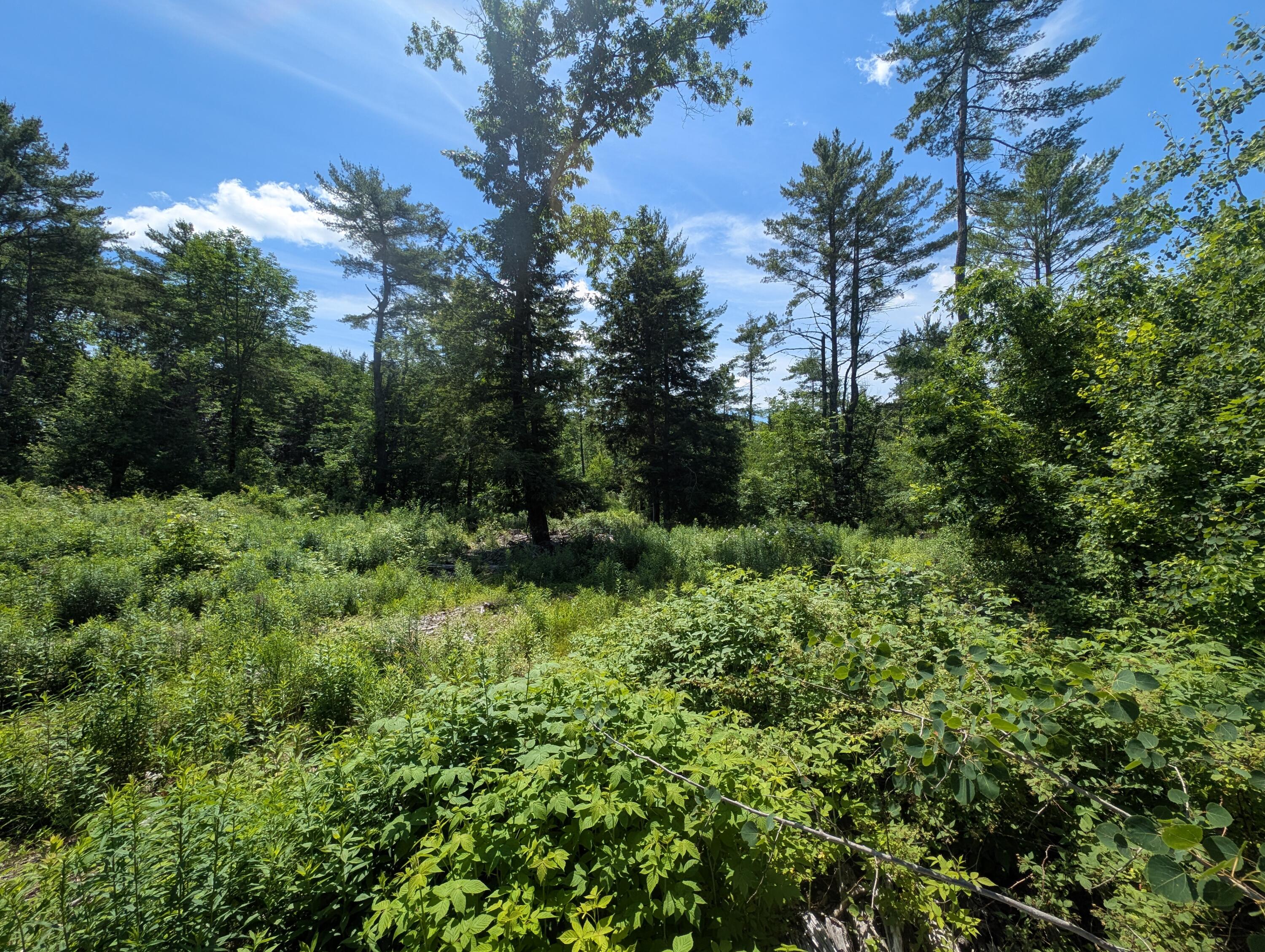 Lot # 2 Route 126 Route Property Photo 4