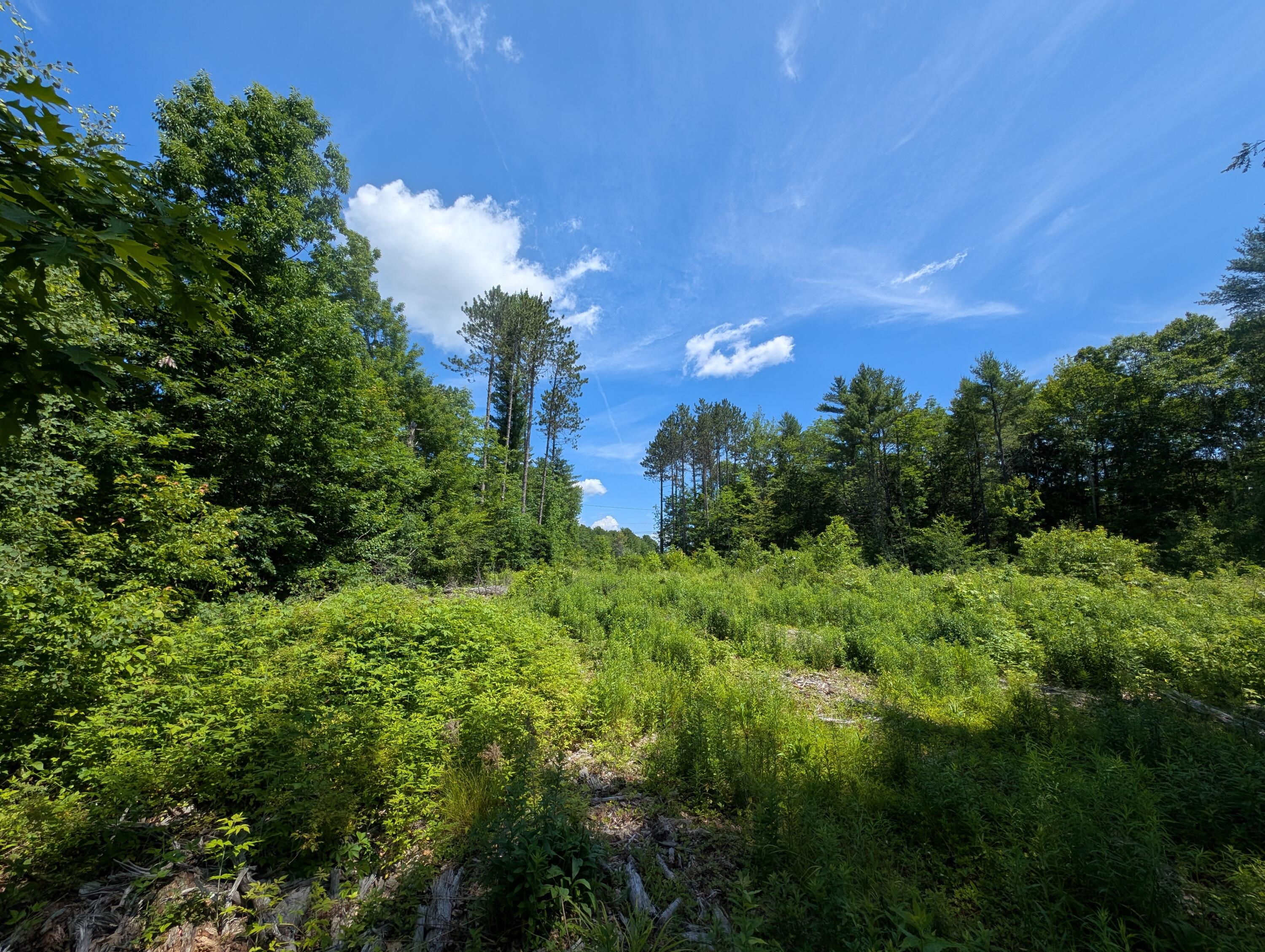 Lot # 2 Route 126 Route Property Photo 5