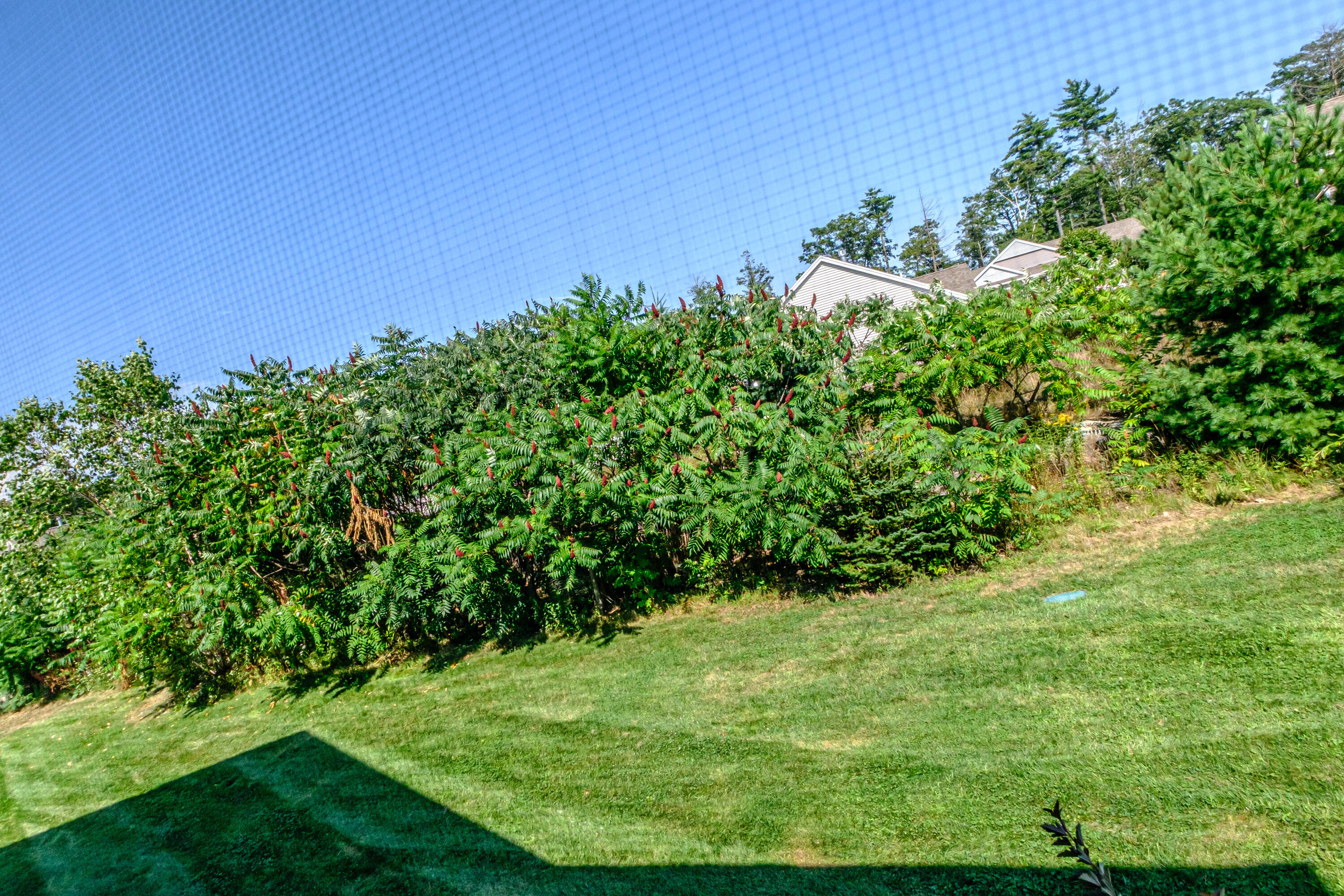 48 Maxwell Woods Drive 3 Property Photo 45