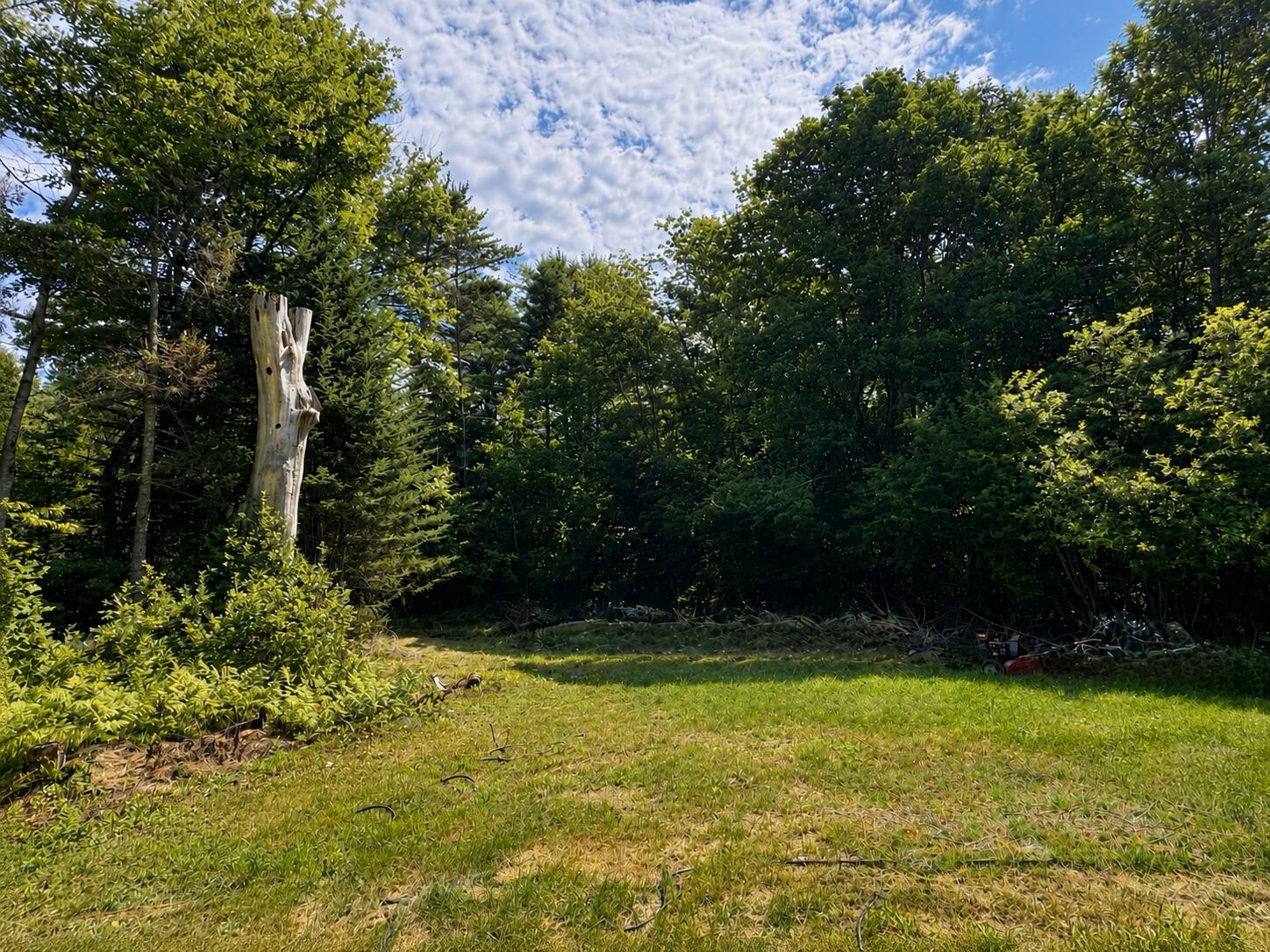 96 Dyer's Bay Road Property Photo 43