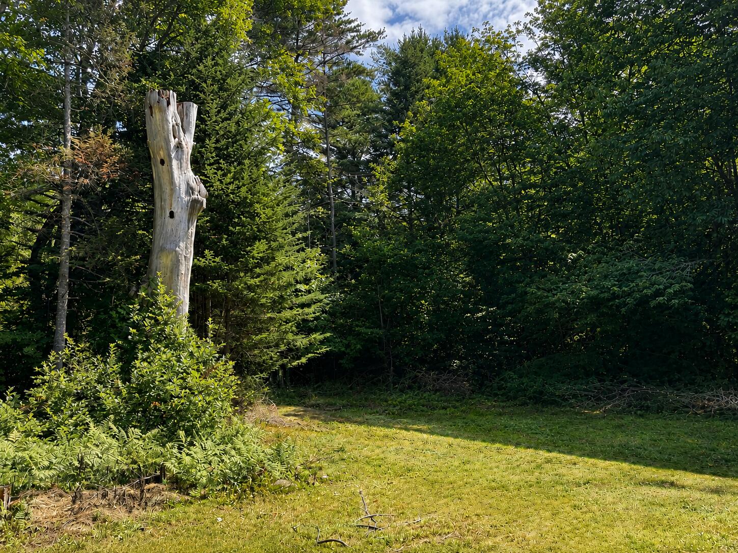 96 Dyer's Bay Road Property Photo 44