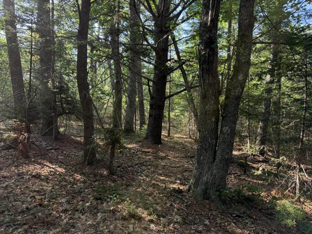 Lot 18b Waldoboro Road Property Photo 4