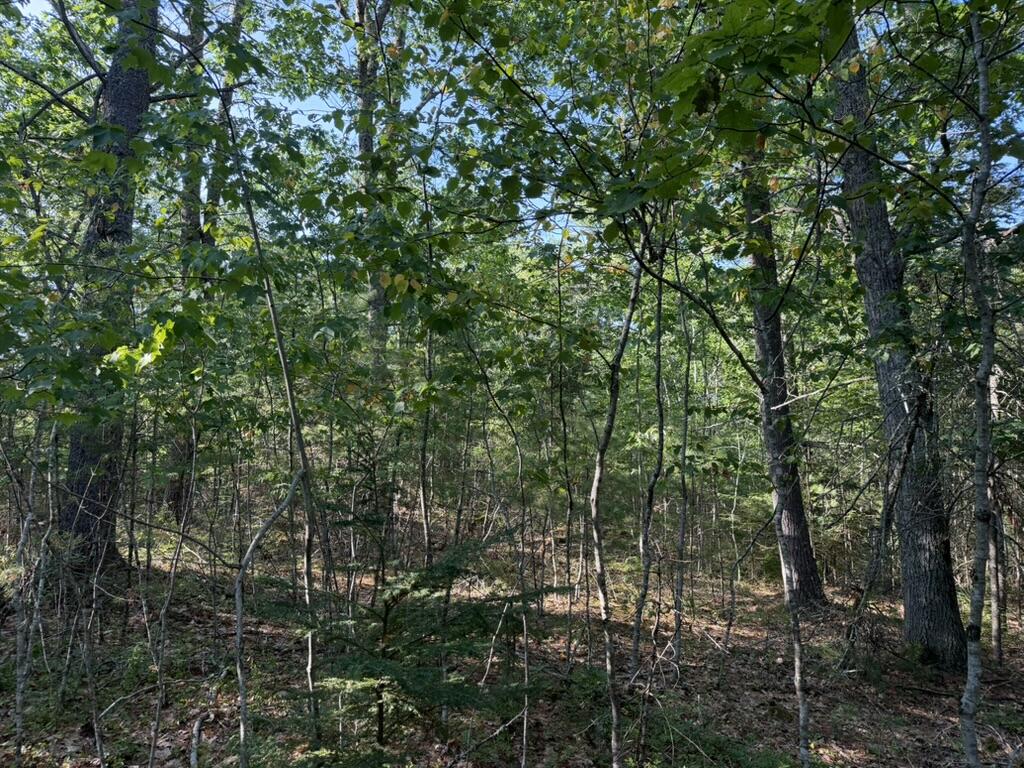 Lot 18b Waldoboro Road Property Photo 5