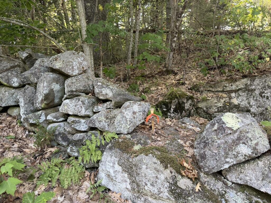 Lot 18b Waldoboro Road Property Photo 7
