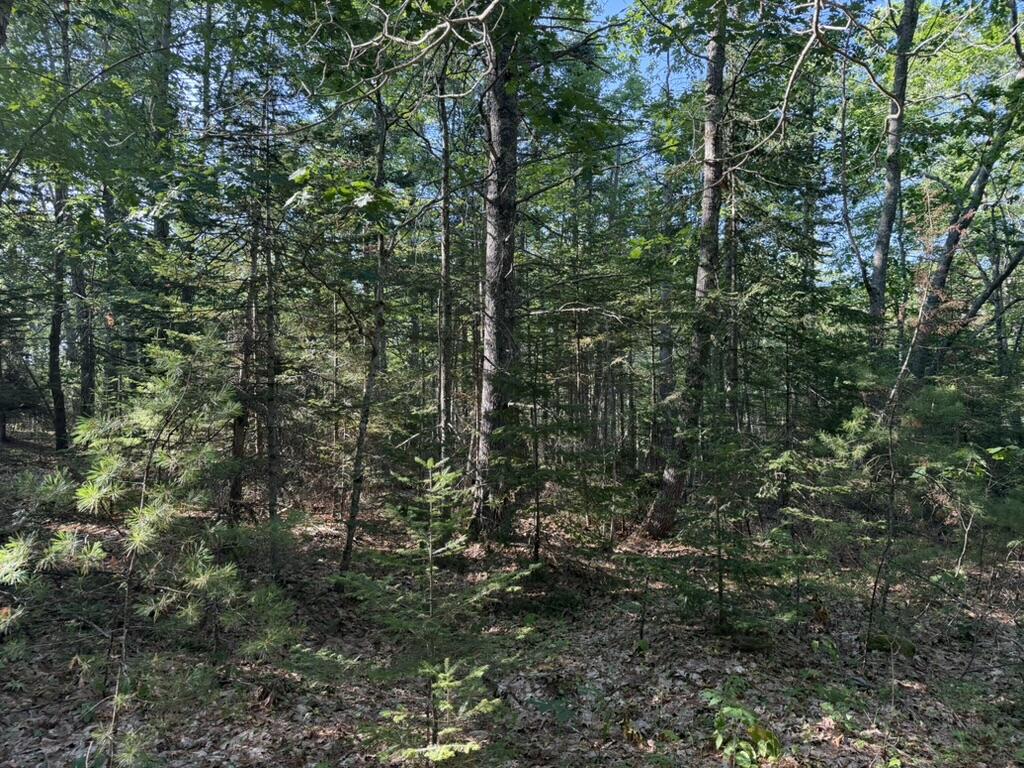 Lot 18b Waldoboro Road Property Photo 8