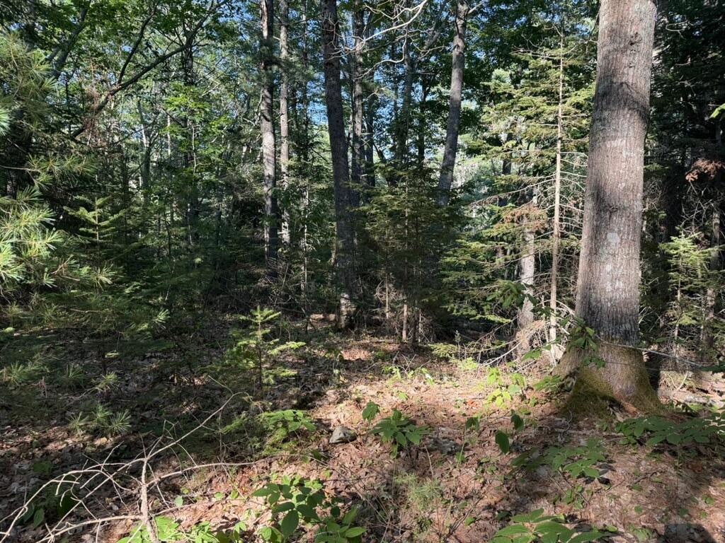 Lot 18b Waldoboro Road Property Photo 9