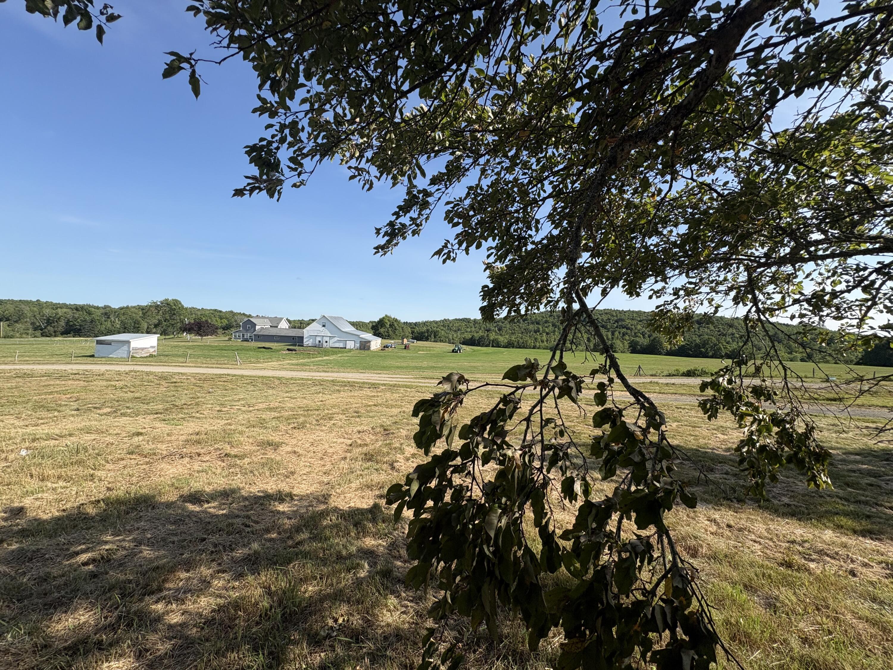 111 Thomas Hill Road Property Photo 41