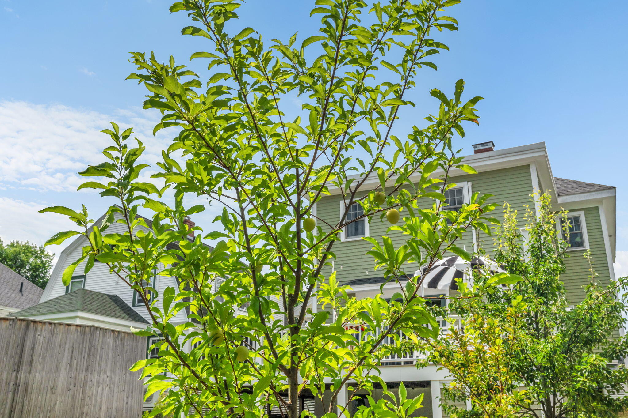 143 Maple Street Property Photo 56