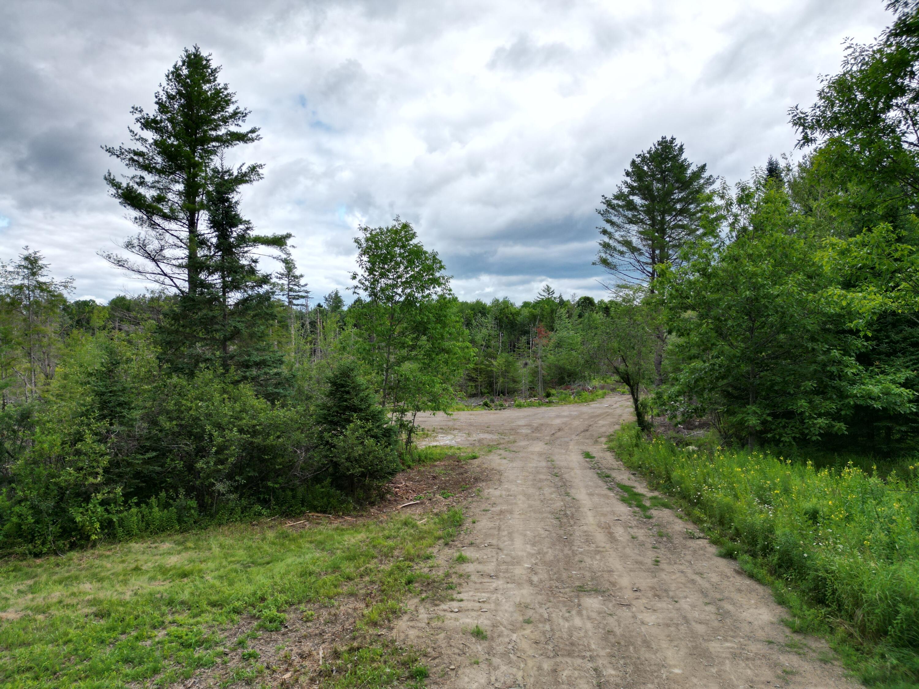 Lot 16 Route 1 Property Photo 1