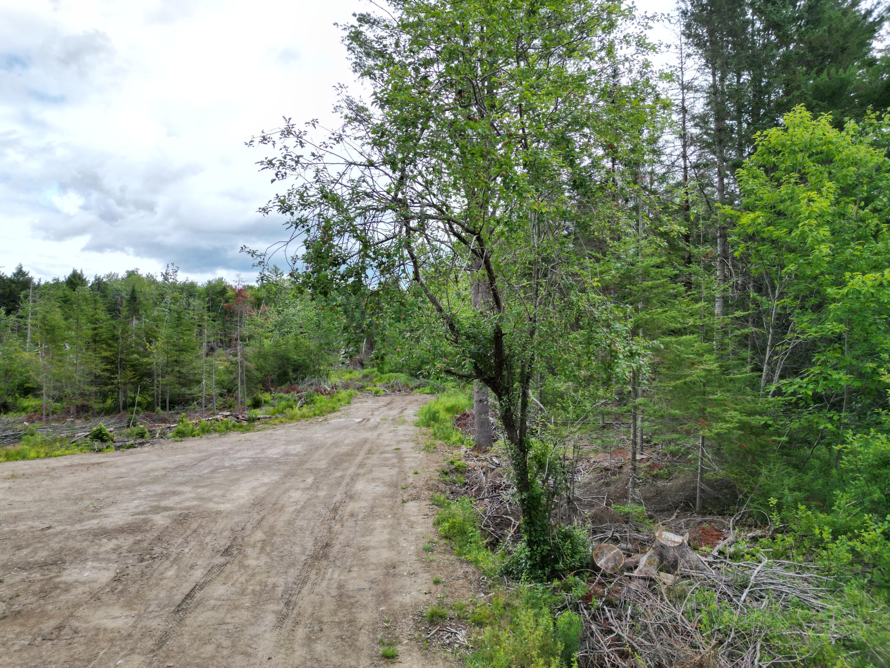Lot 16 Route 1 Property Photo 3
