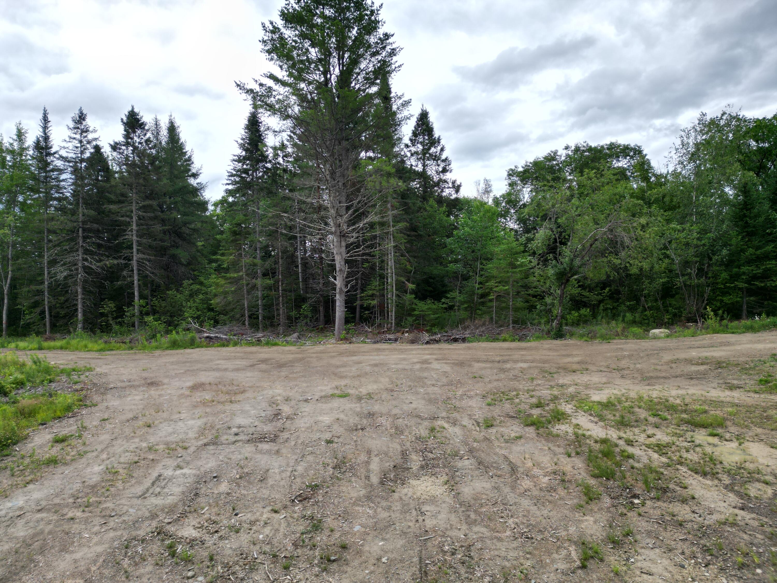 Lot 16 Route 1 Property Photo 4