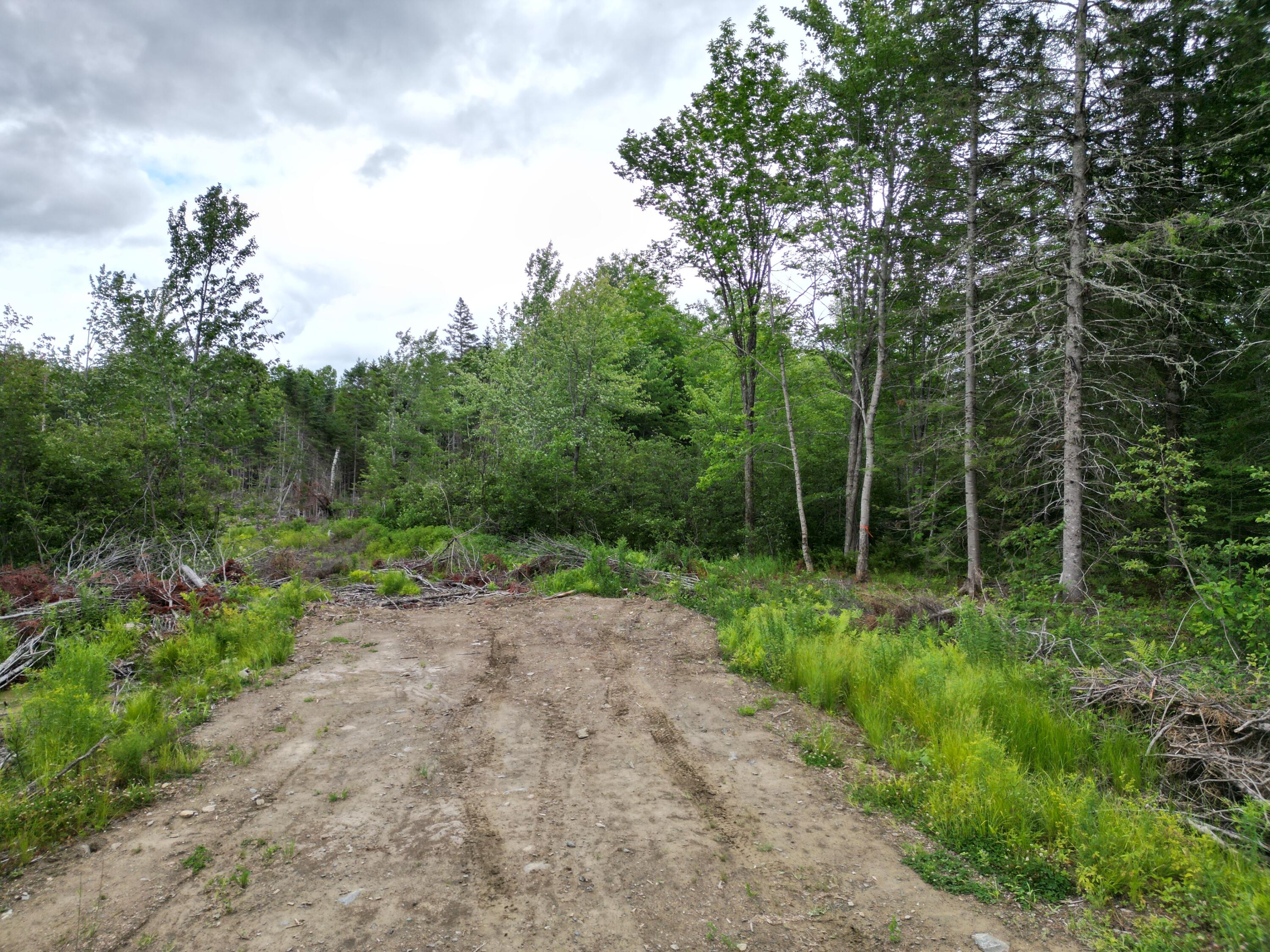 Lot 16 Route 1 Property Photo 5