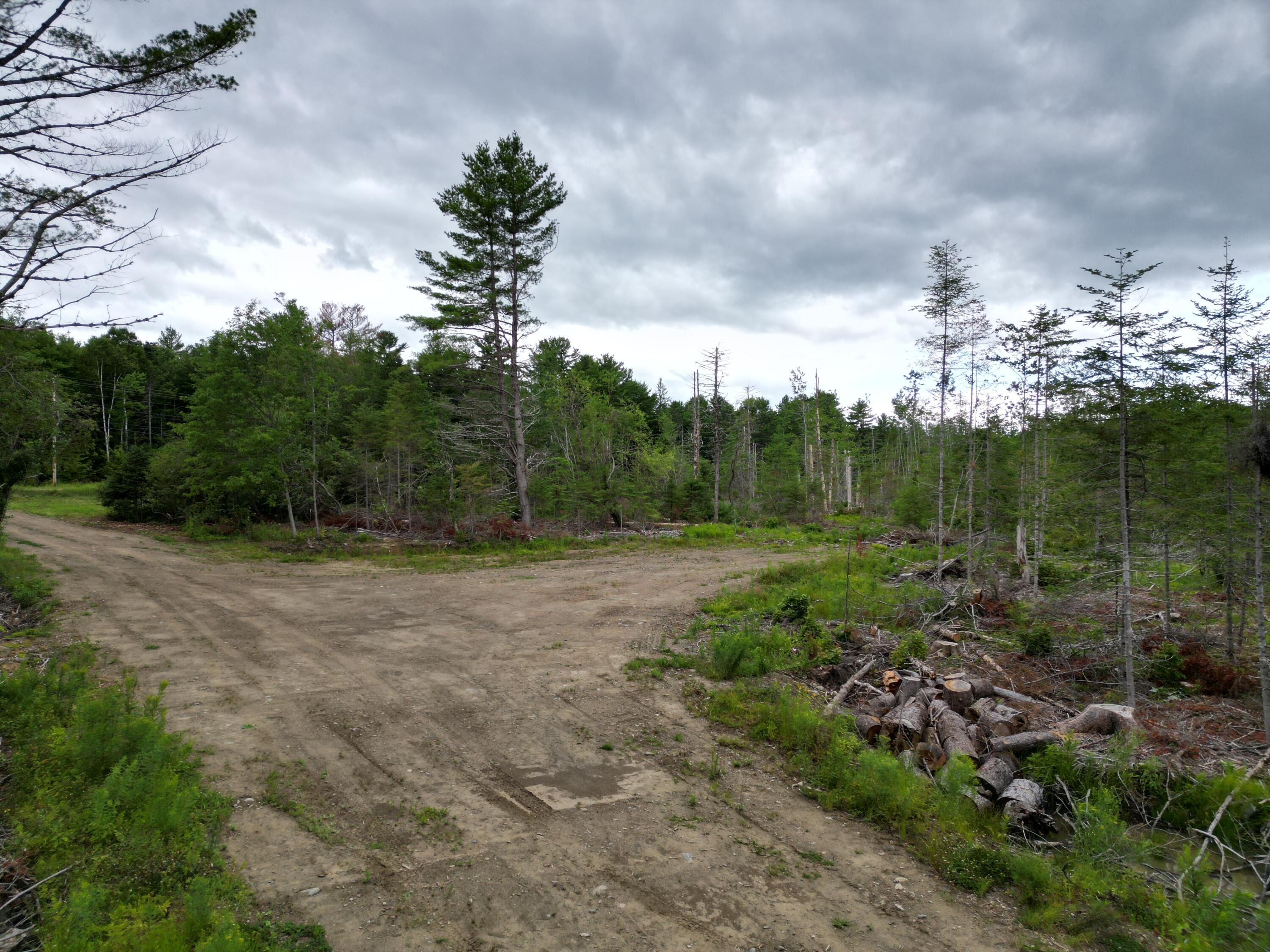 Lot 16 Route 1 Property Photo 6