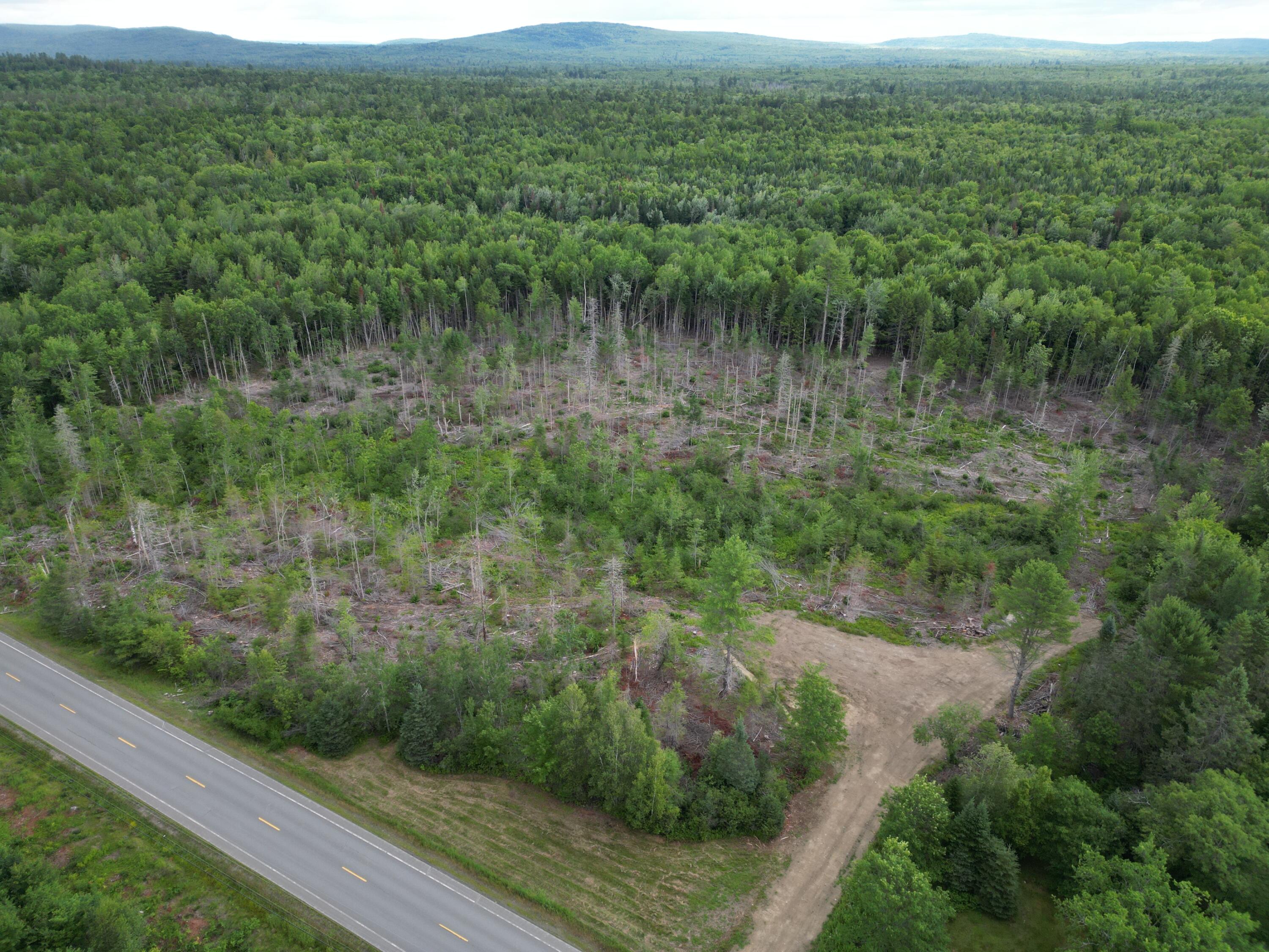 Lot 16 Route 1 Property Photo 7